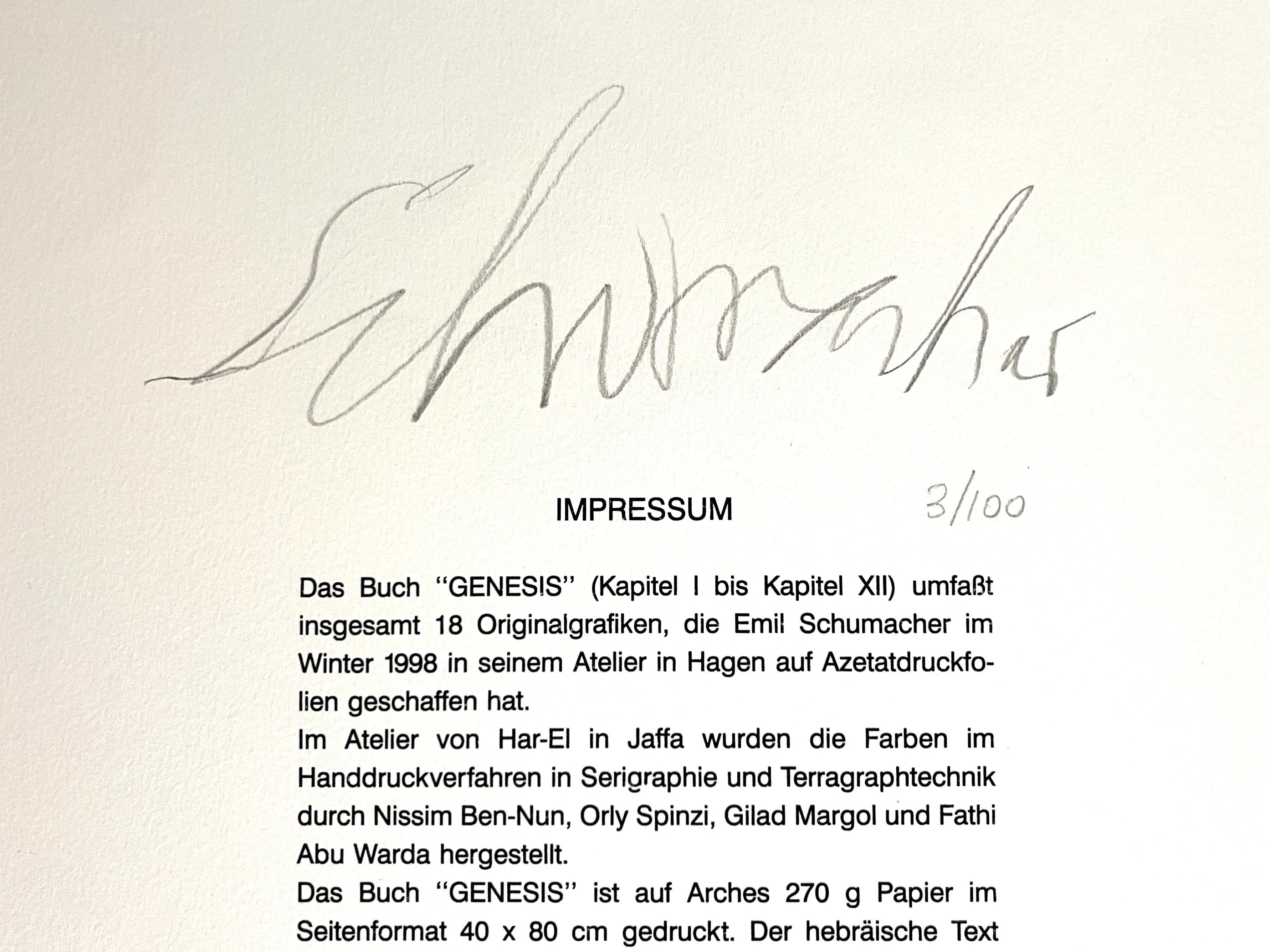 Emil Schumacher Limited Edition Serigraph Terraraph Print Abstract Art Informel For Sale 3