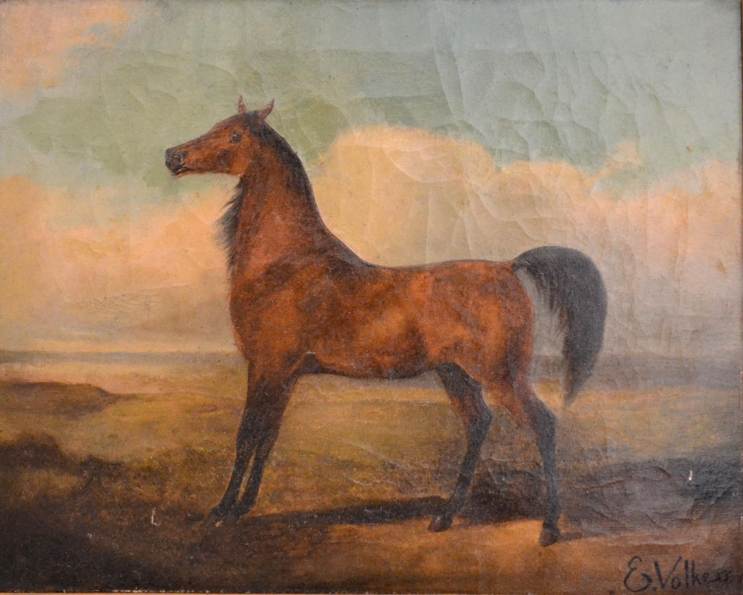 Horse - Oil on Canvas y E. Volkers - Late 19th Century - Painting by Emil Volkers