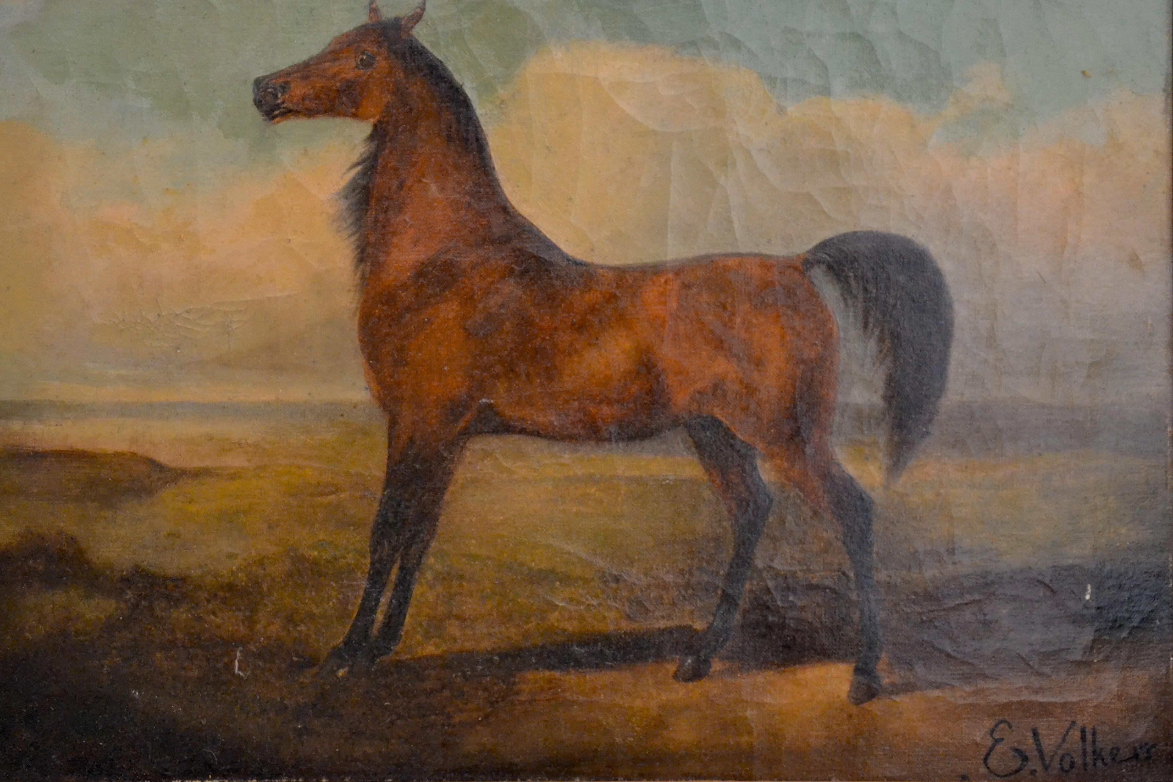 Horse - Oil on Canvas y E. Volkers - Late 19th Century - Brown Animal Painting by Emil Volkers