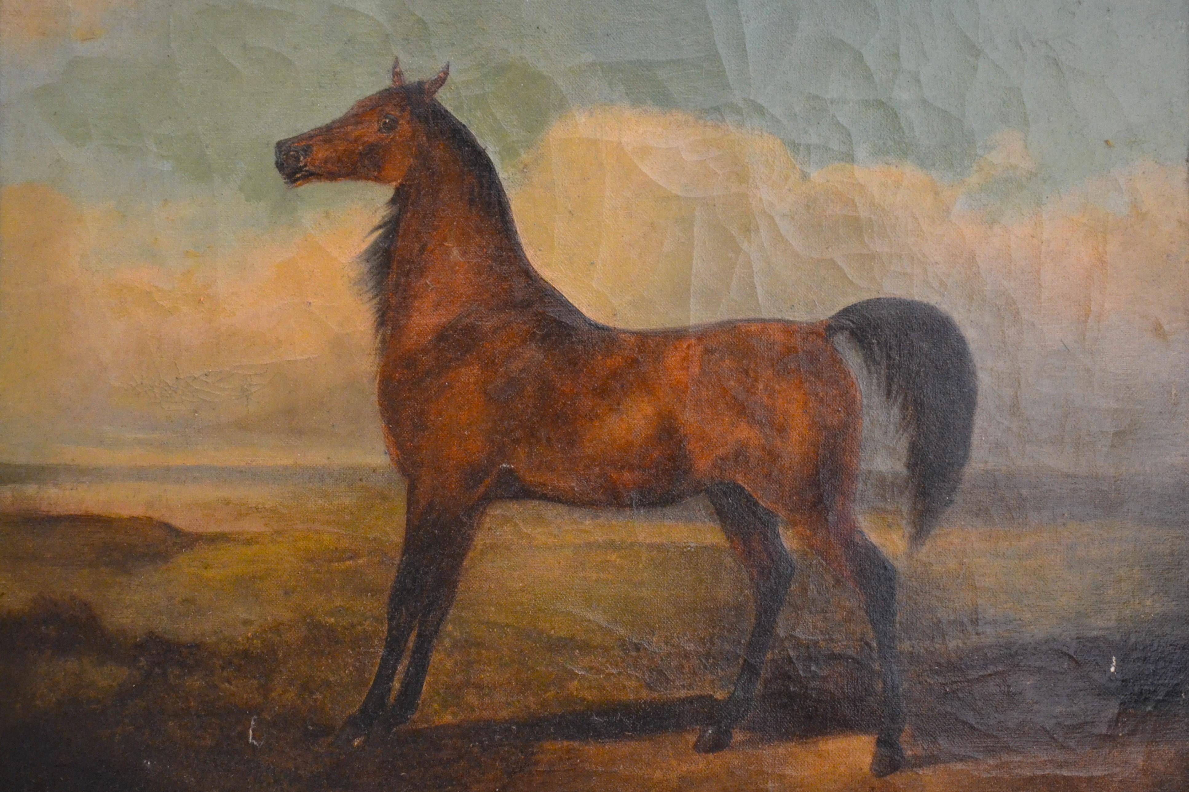 Horse is an original colored artwork realized by Emil Volkers at the end of XIX century.

Original oil on canvas. 

Good conditions Good conditions except some craquelure.

Hand sign on the lower right margin 