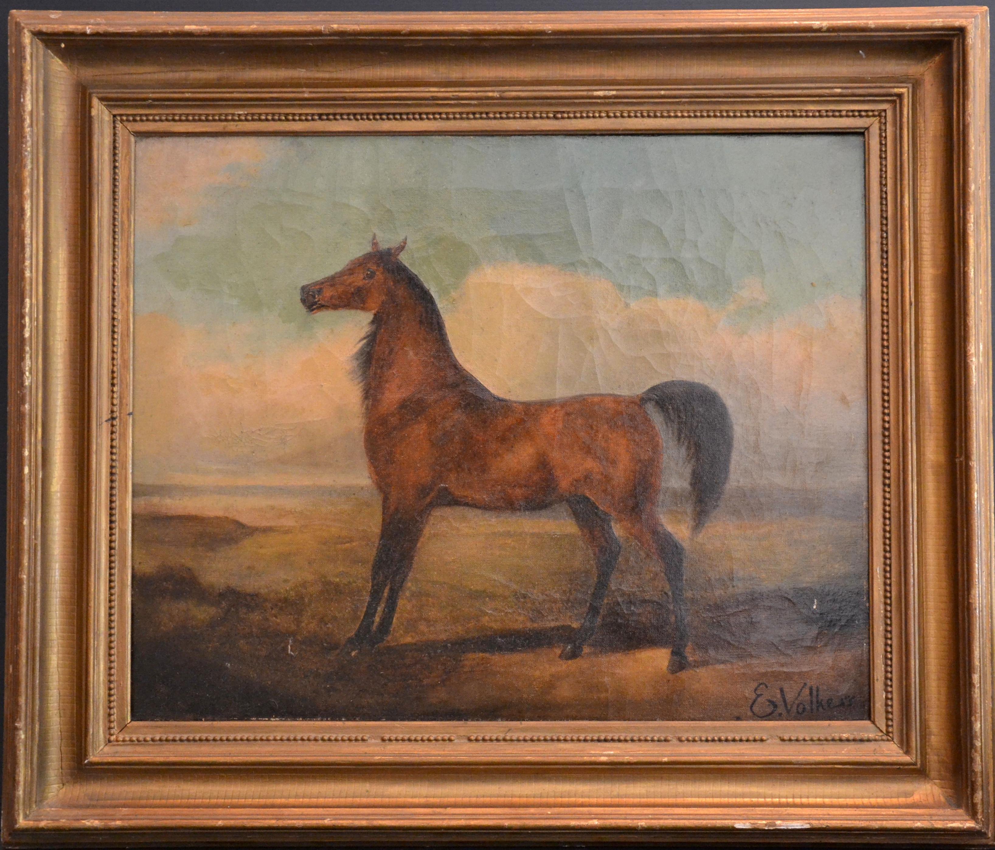 Emil Volkers Animal Painting - Horse - Oil on Canvas y E. Volkers - Late 19th Century
