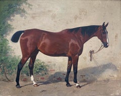 Nausikaa