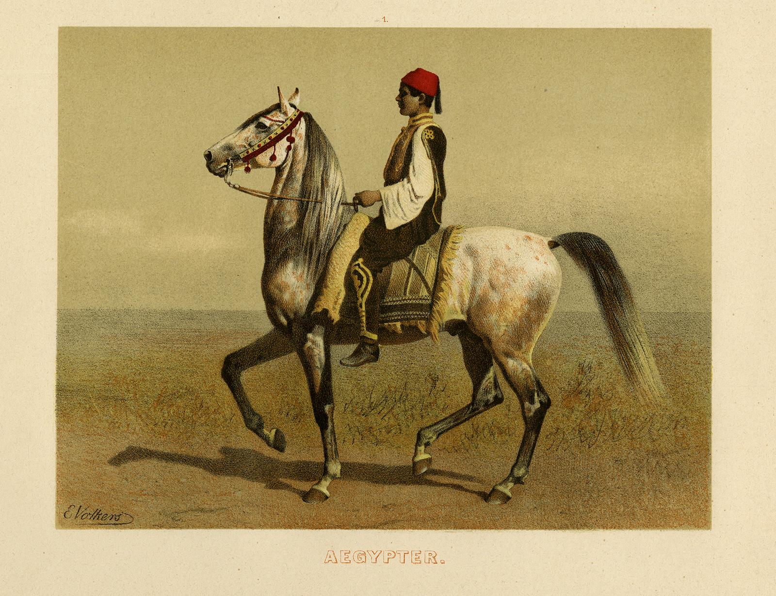 Description: This delicate print originates from a very scarse series of horse prints: 'Abbildungen vorzüglicher Pferde-Rassen', by Emil Volkers, made c. 1880. Some of these prints were also used for an even scarser: 'Sport, Illustrierte Blätter für