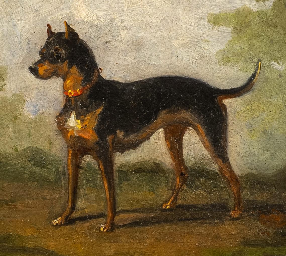 Emile Bujon Animal Painting - Dog Portrait of a Beauceron "Bas Rouge, 1877"; French Wild-Boar Hunting Dog   
