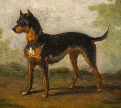 Dog Portrait of a Beauceron "Bas Rouge, 1877"; French Wild-Boar Hunting Dog   