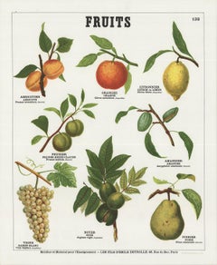 Emile Deyrolle 'Fruits' 1975
