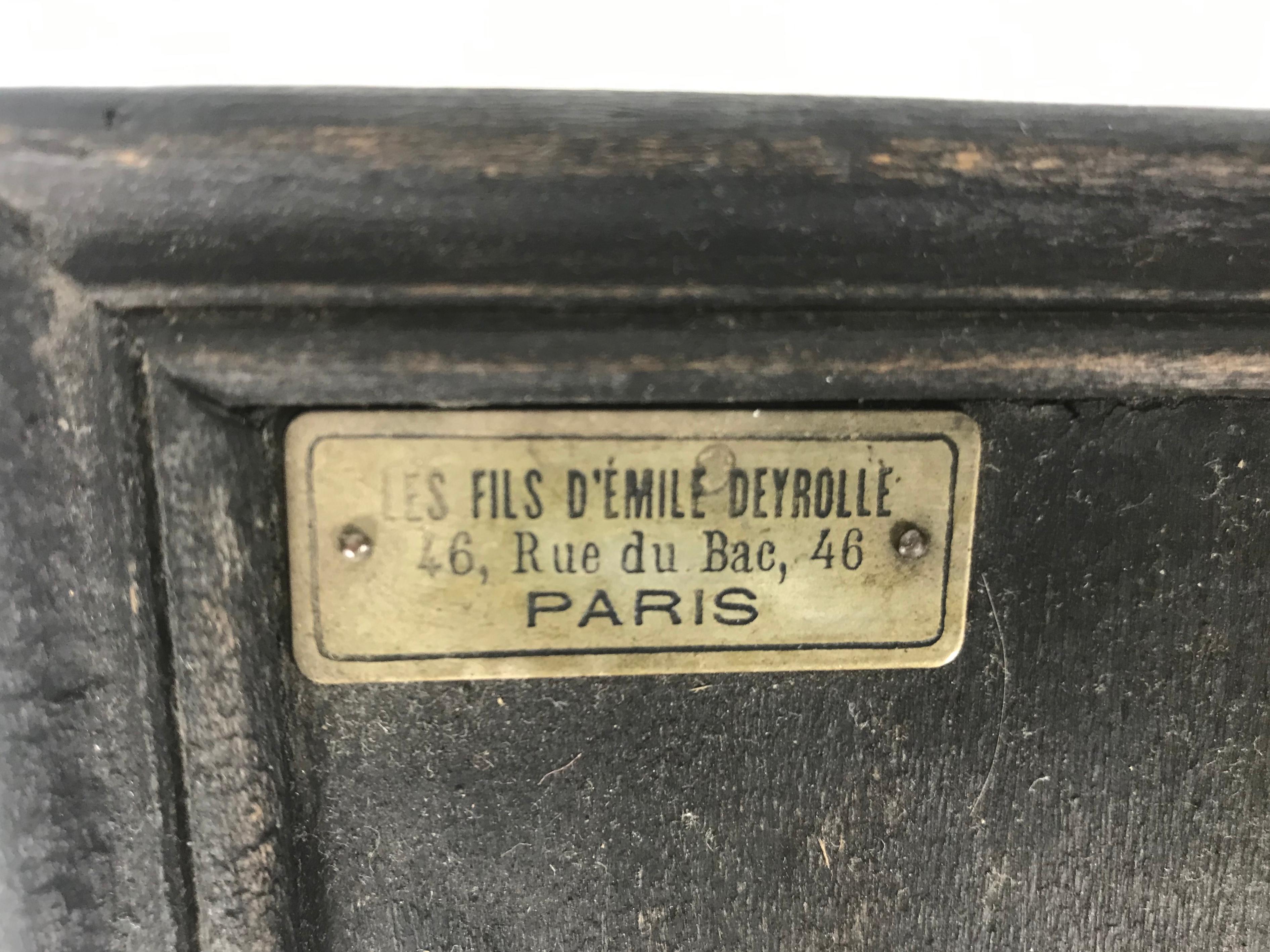 Emile Deyrolle Modèles didactiques de germination en plâtre:: fil de fer et bois du 19ème siècle en vente 2