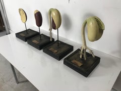Emile Deyrolle Siglo XIX Modelos didácticos de germinación en yeso, alambre y madera