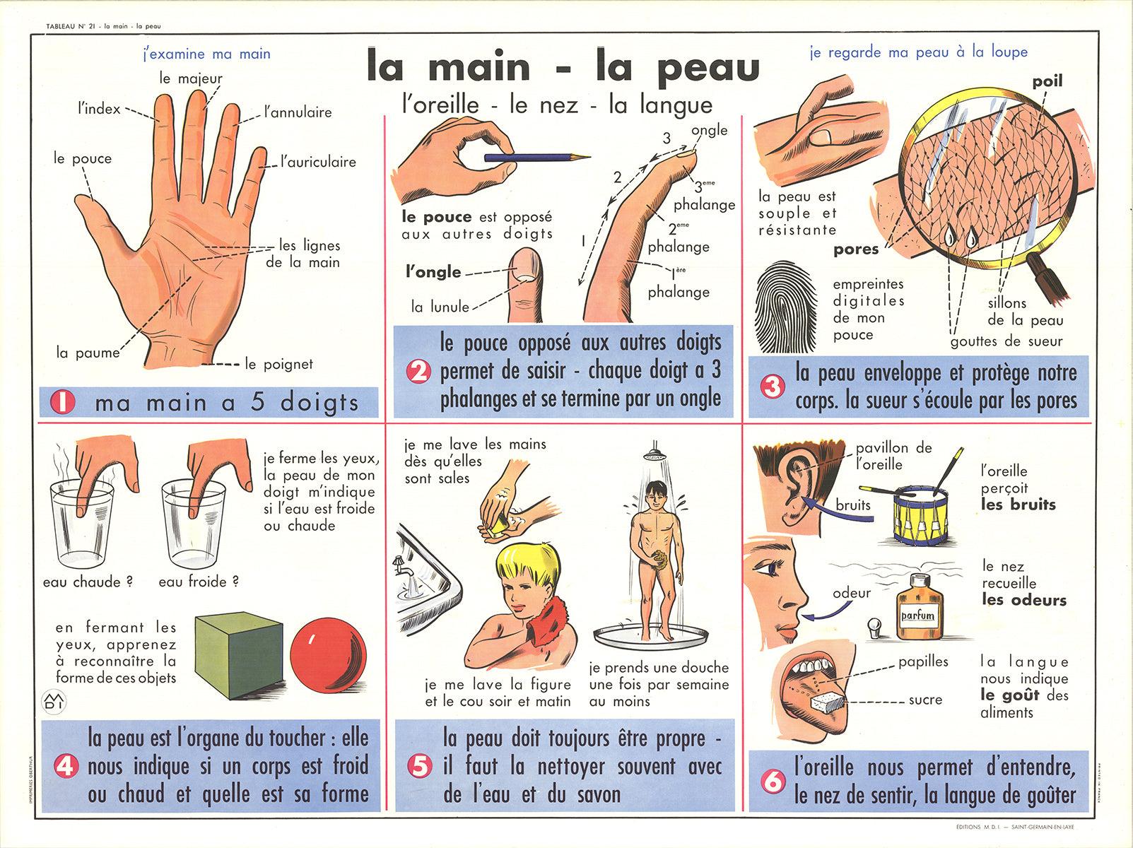 Emile Deyrolle « La Main- La Peau » 1960-