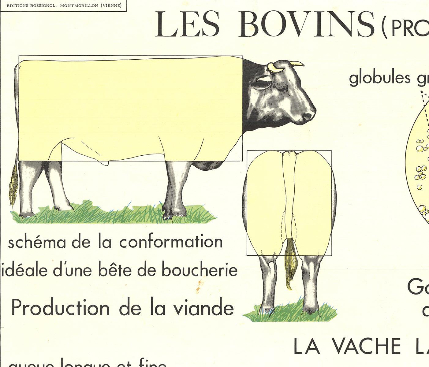 Emile Deyrolle 'Le Bovins (Produzione)' in vendita 3