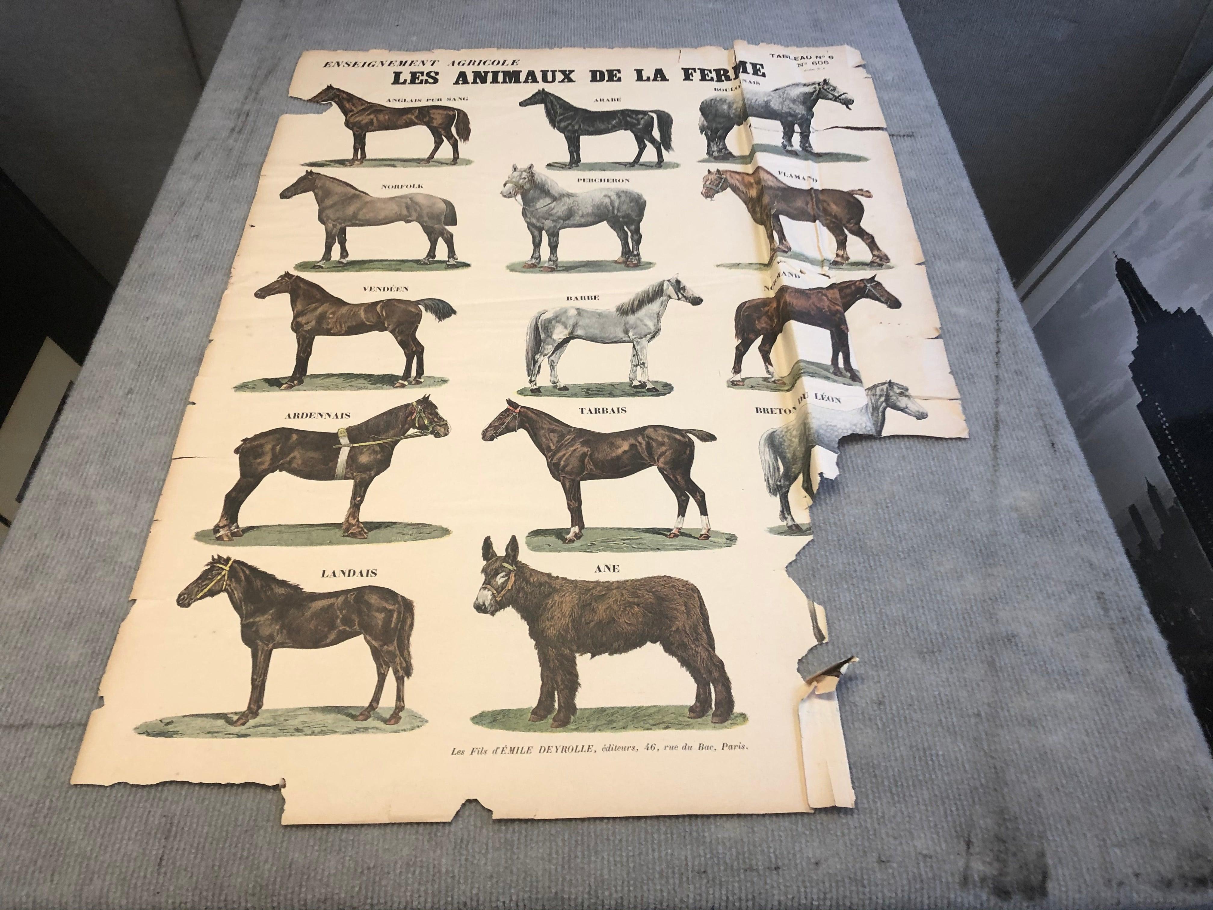 Emile Deyrolle 'Les Animaux De La Ferme - Les Chevaux' 1945 For Sale 1