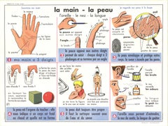 Emile Deyrolle « Les Fils et les Tissues », 1960