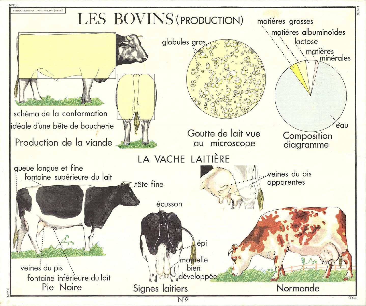 Emile Deyrolle 'Logement Des Bovins' 1960- in vendita 1