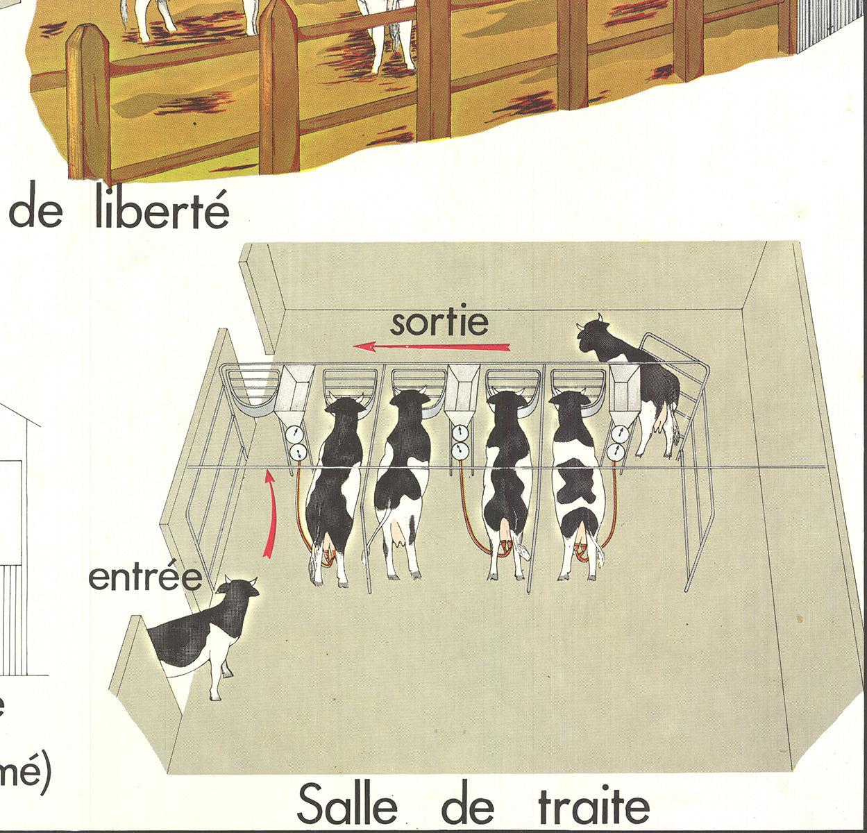Emile Deyrolle 'Logement Des Bovins' 1960- in vendita 2