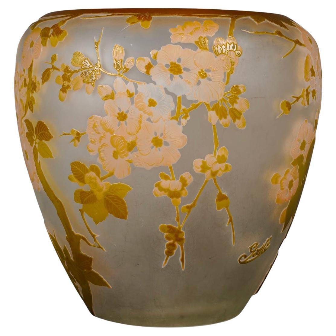 Émile Gallé (18461904) « Branches Fleurs de Cerisier du Japon » Vase