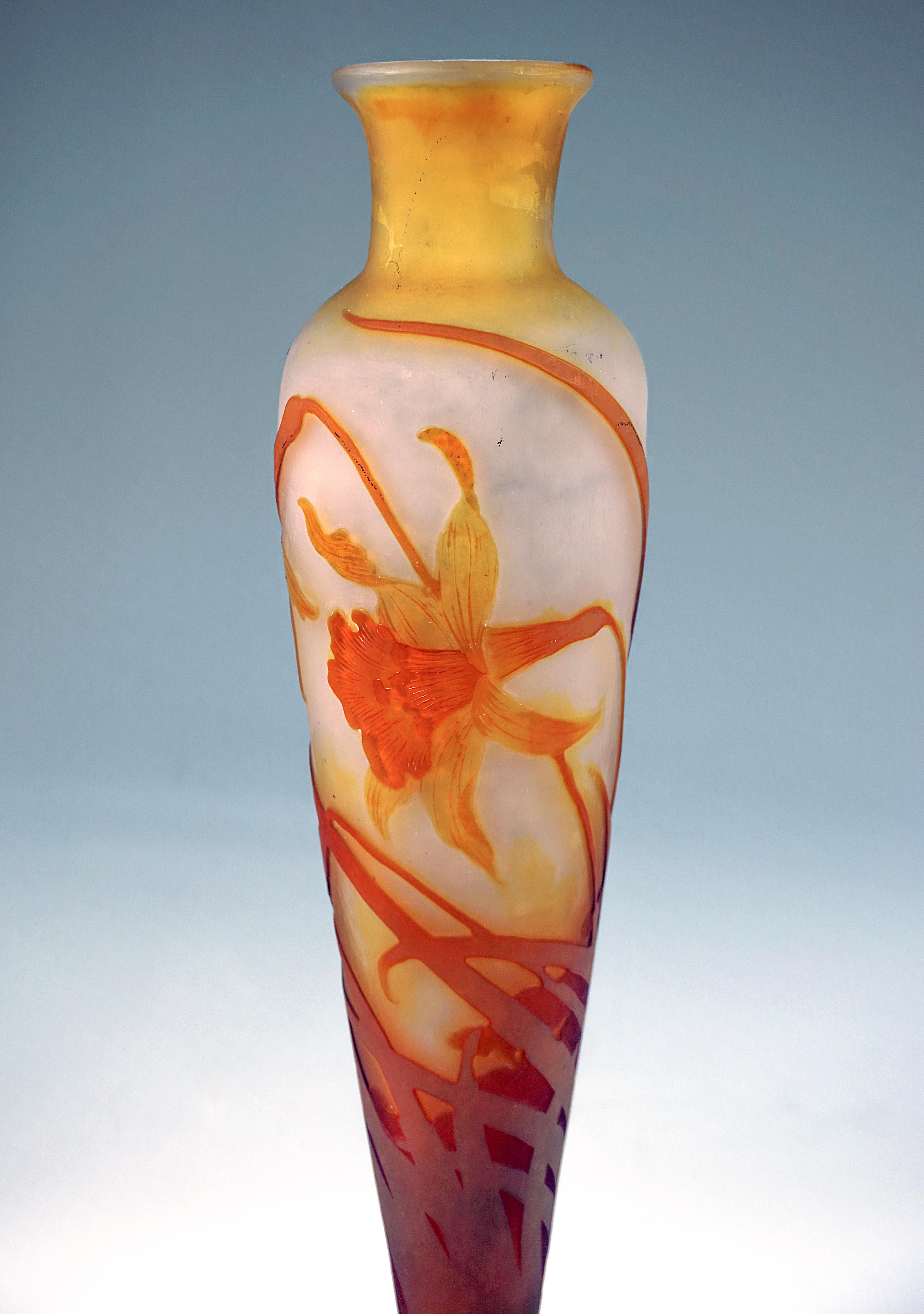 Glass Émile Gallé Art Nouveau Cameo Vase With Daffodil Decor, France, Circa 1904 For Sale