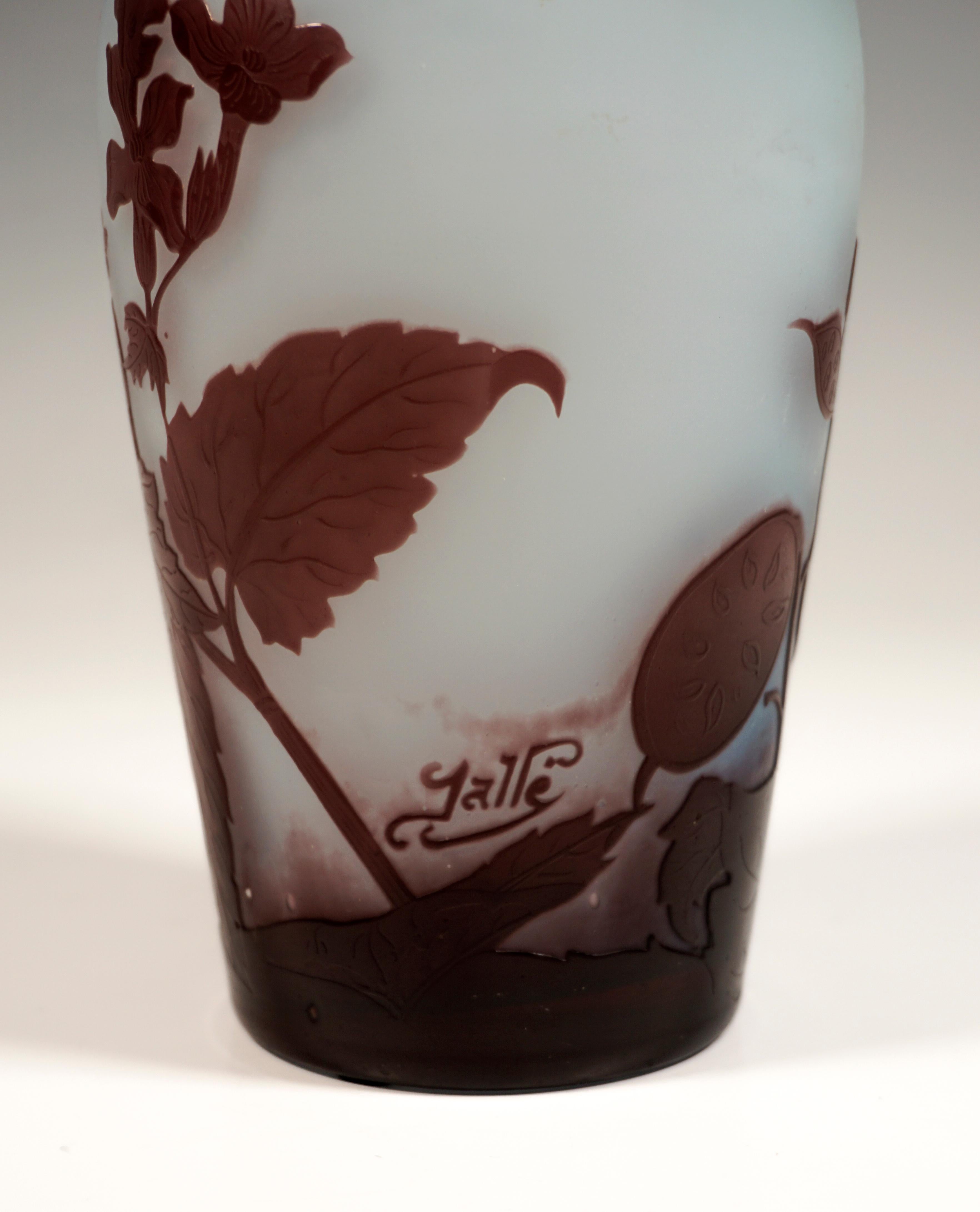 Etched Émile Gallé Art Nouveau Cameo Vase With Annual Honesty Decor, France 1925/31 For Sale