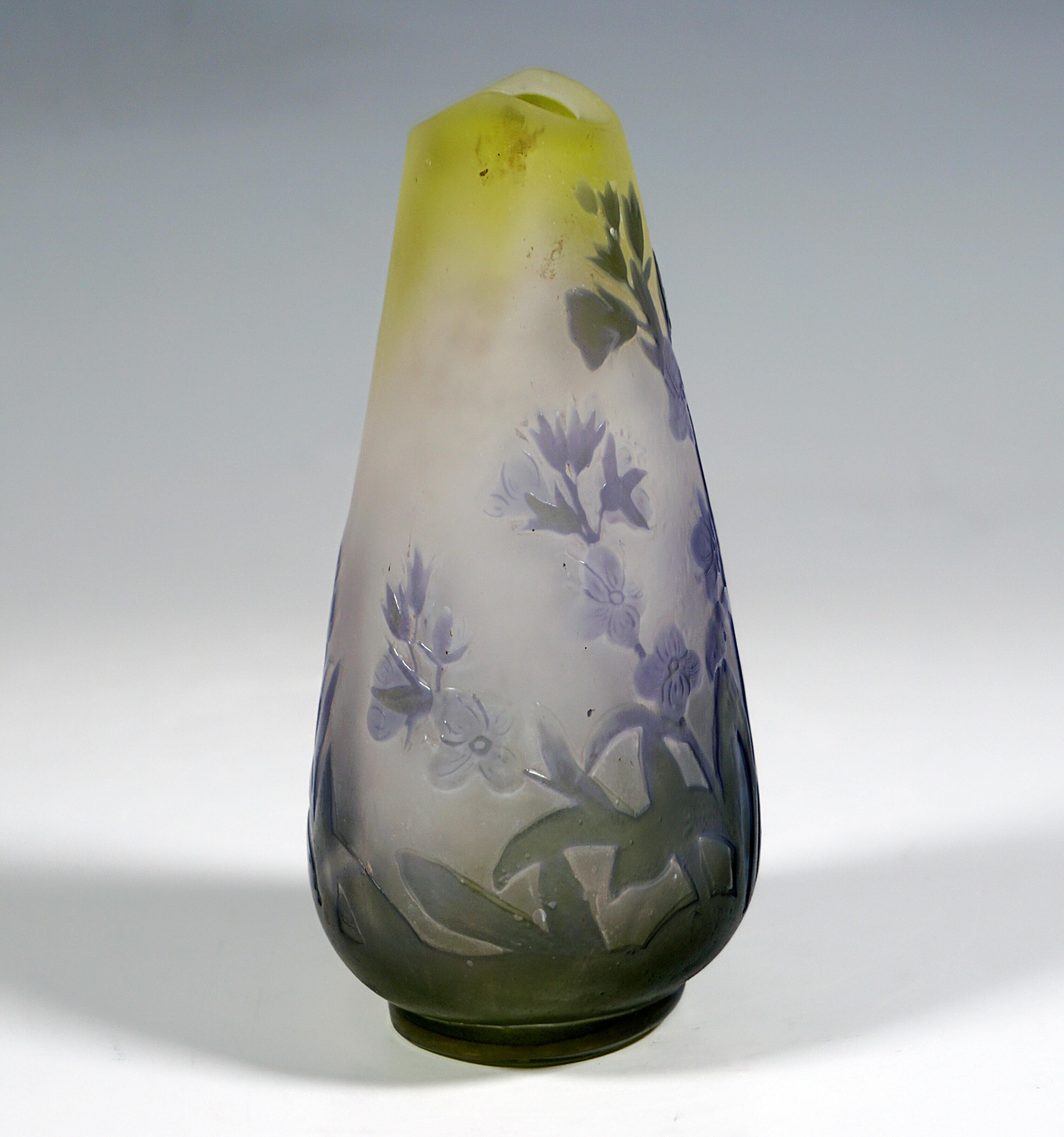 Etched Émile Gallé Art Nouveau Drop-Shaped Vase with Floral Decor, France 1903/04