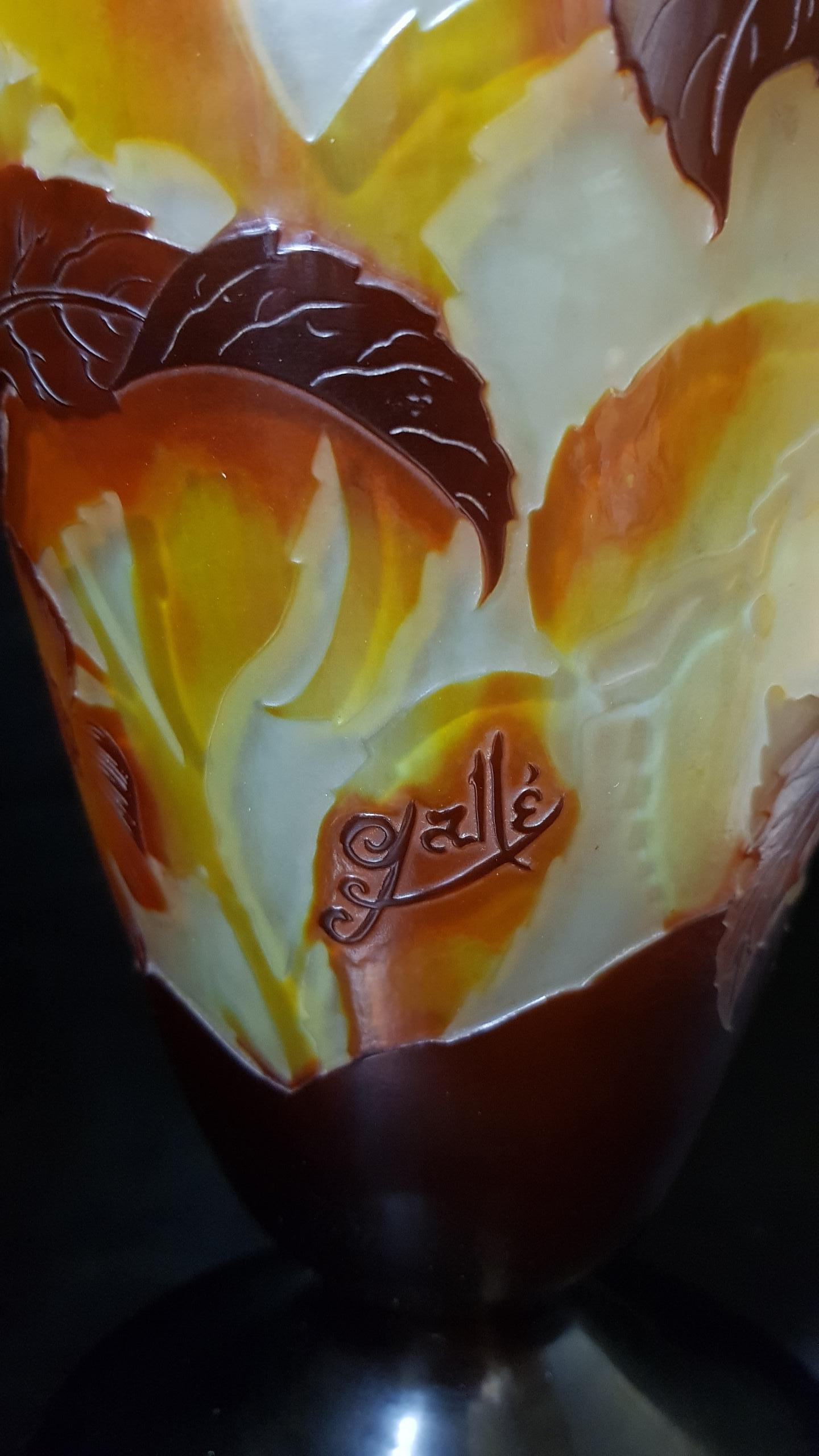 20th Century Emile Gallé Art Nouveau France Cameo Glass Vegetable Motifs Vase, 1900s