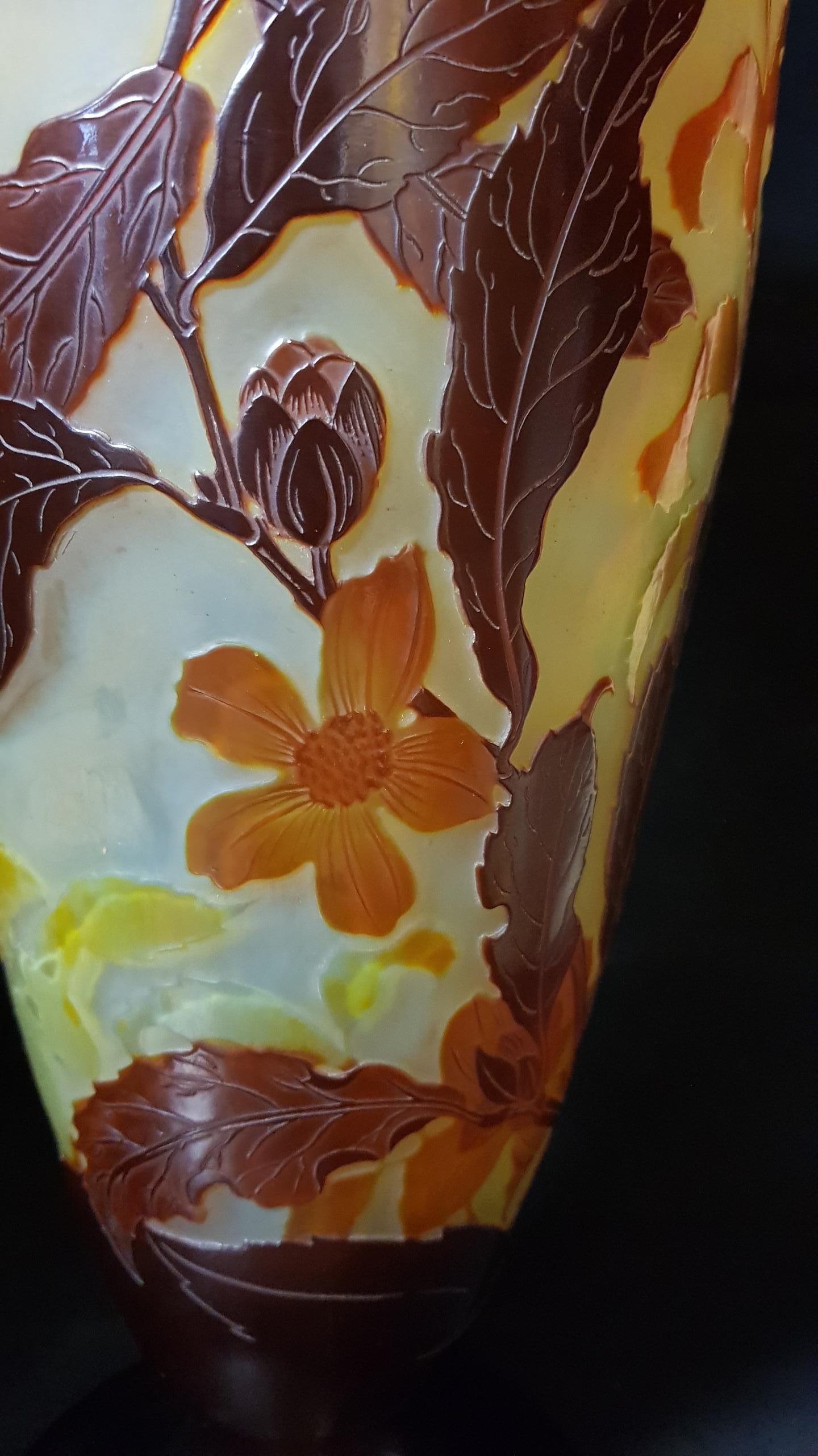 Emile Gallé Art Nouveau France Cameo Glass Vegetable Motifs Vase, 1900s 2