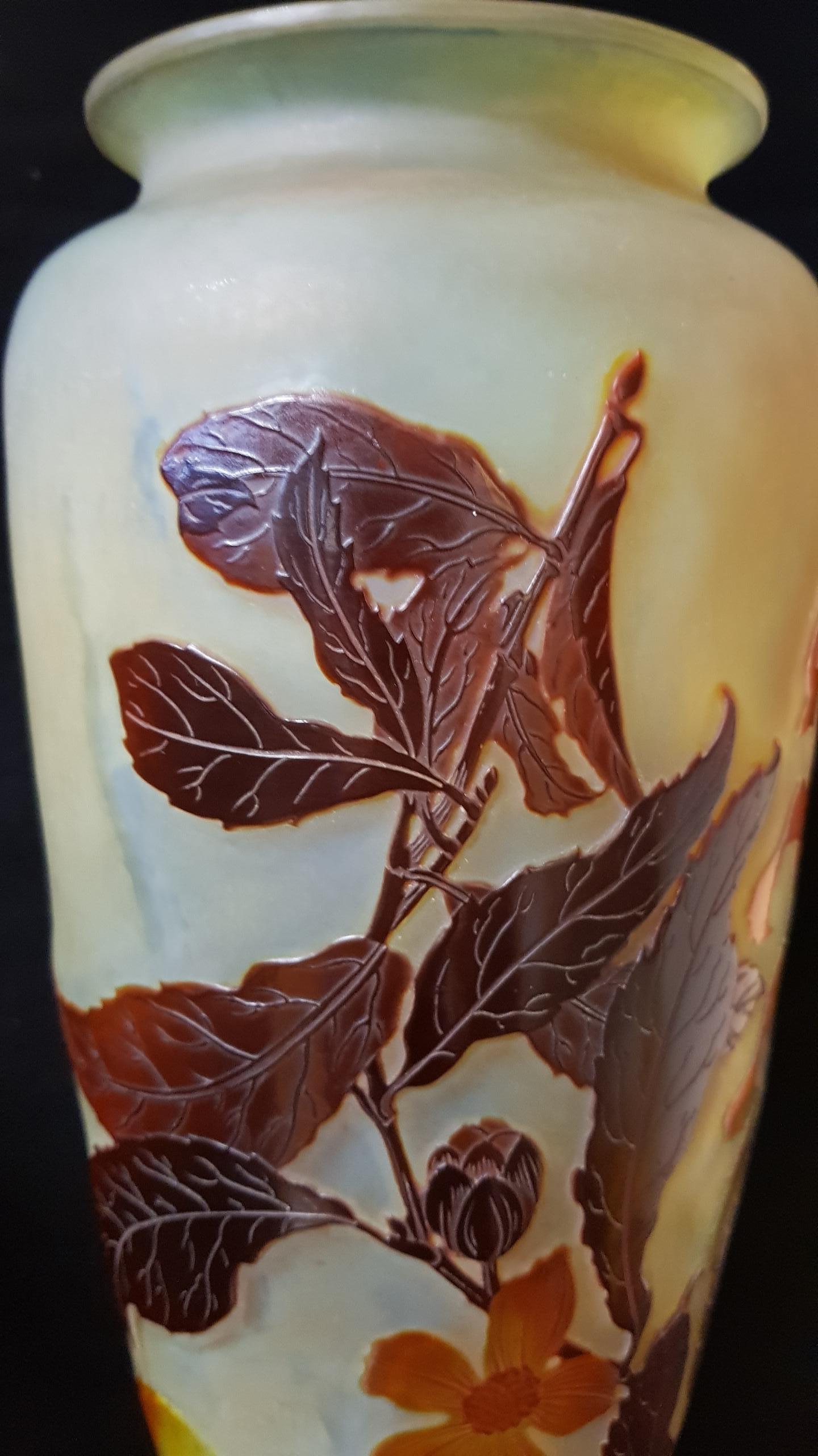 Emile Gallé Art Nouveau France Cameo Glass Vegetable Motifs Vase, 1900s 3