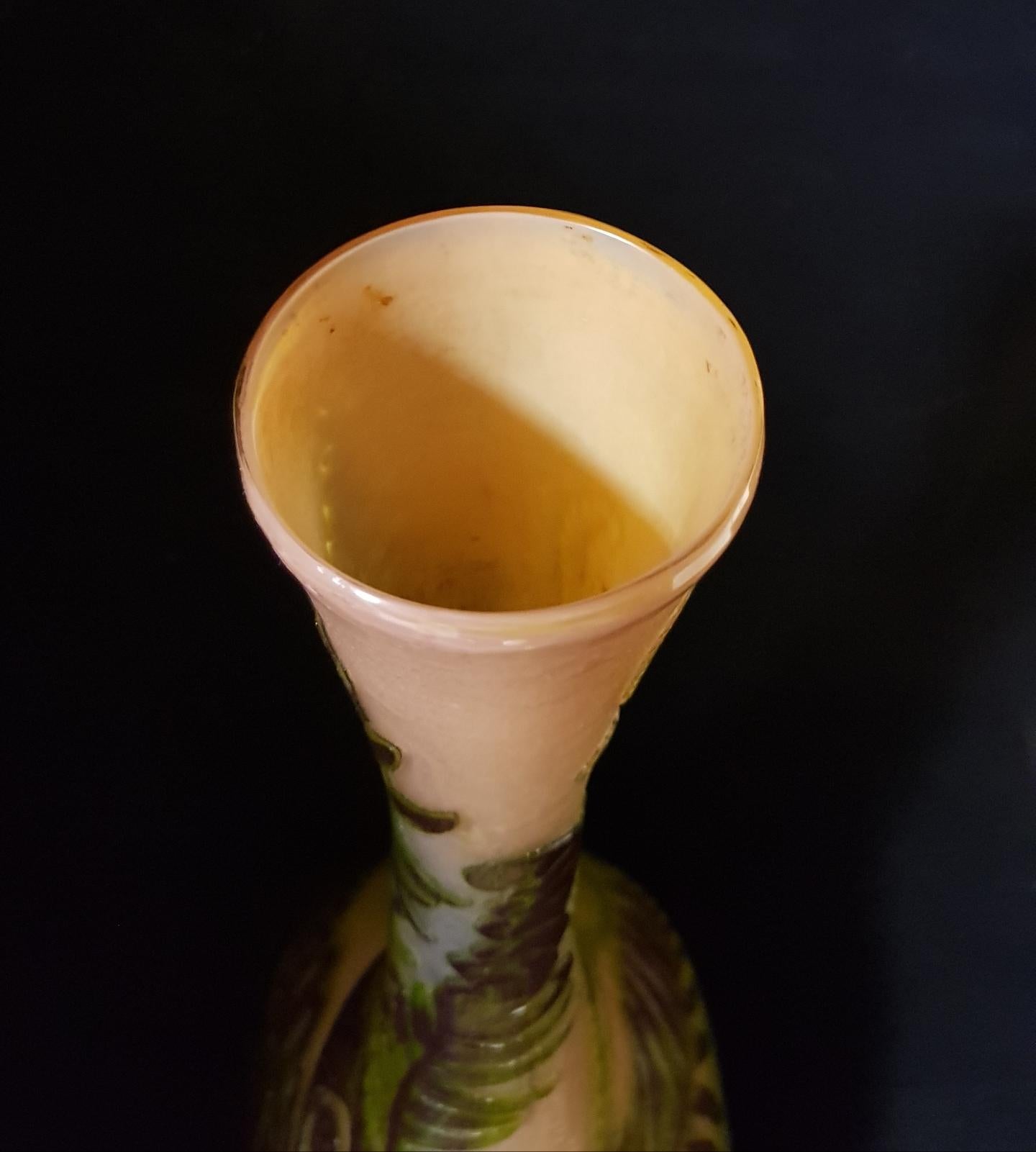 Emile Gallé Art Nouveau France Ferns Glass Vase, 1900s 15