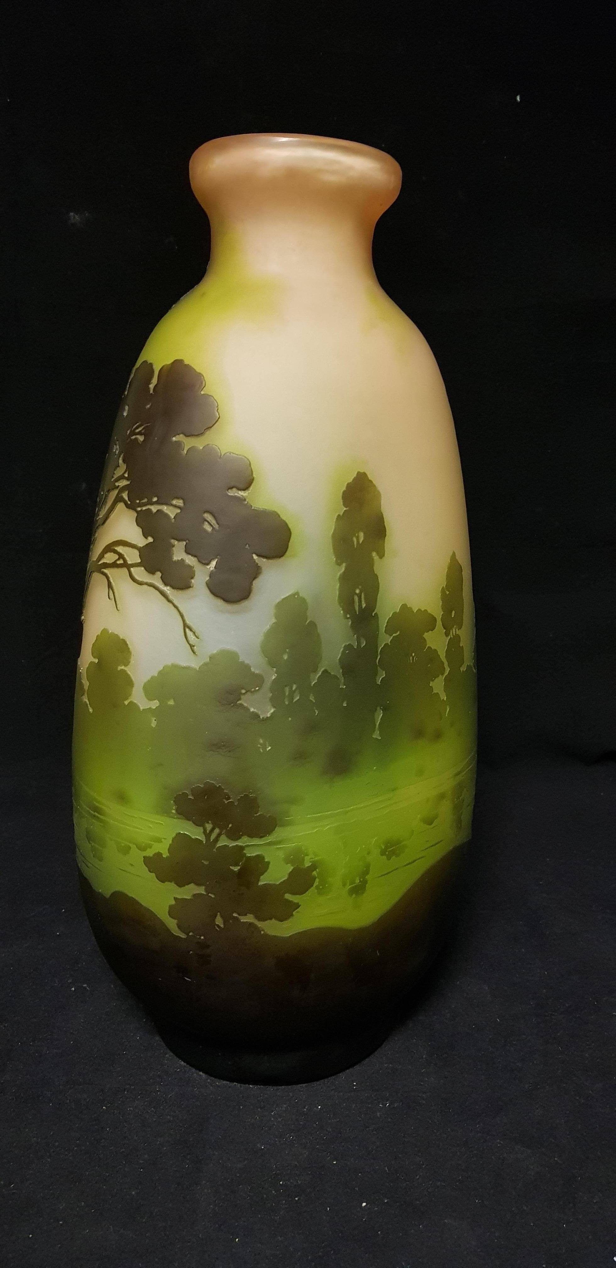 French Emile Gallé Art Nouveau Lake Landscape Decoration Glass Vase, 1910s