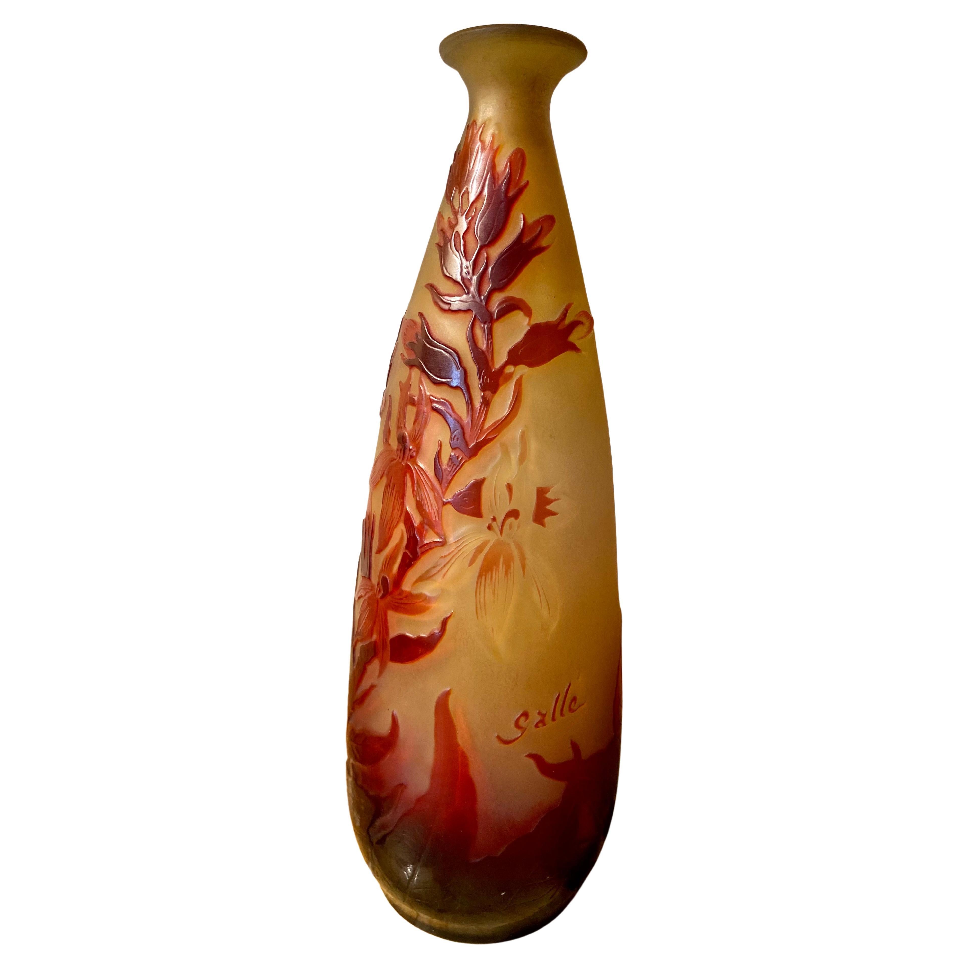 Emile Galle, Art Nouveau Style Elongated Piriform Vase with Irises 20th Century