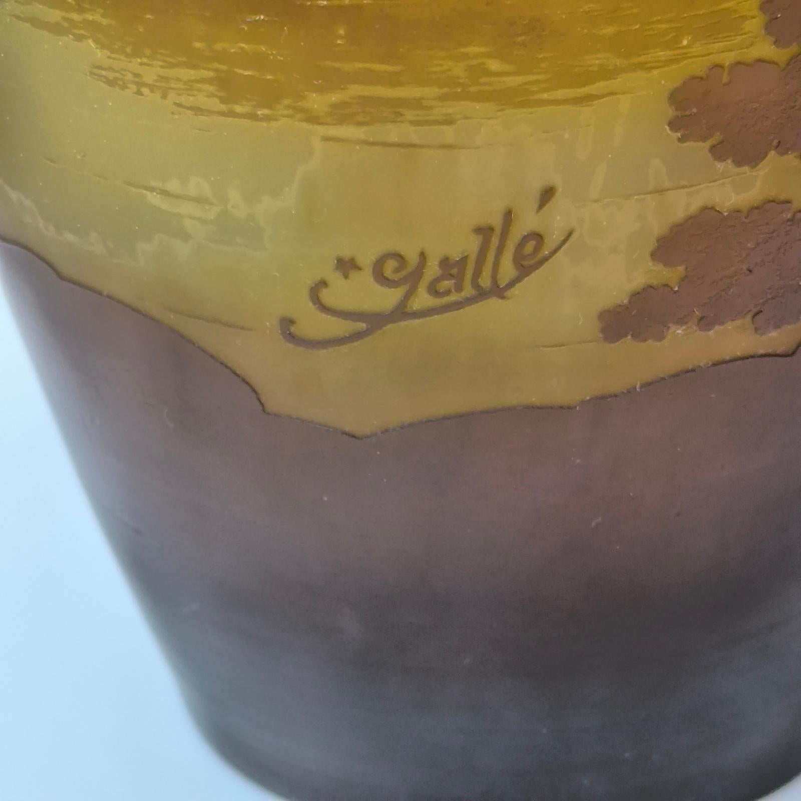 Vaso di Emile Galle con cammeo in vetro con paesaggio del lago forestale, Francia, 1904 circa in vendita 2