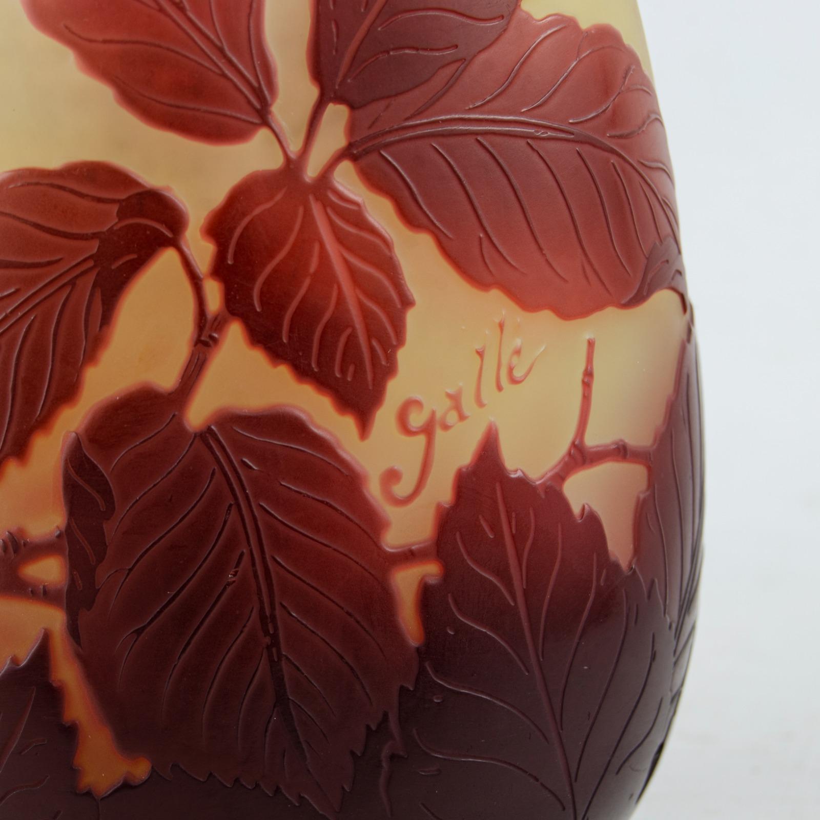 overlaid and acid-etched with pendant flowers and leaves
 signed in cameo Gallé

This beautiful glass vase is an authentic vase due to the petal-shaped mouth opening. very attractive, elegant and a perfect piece for collectors and Galle