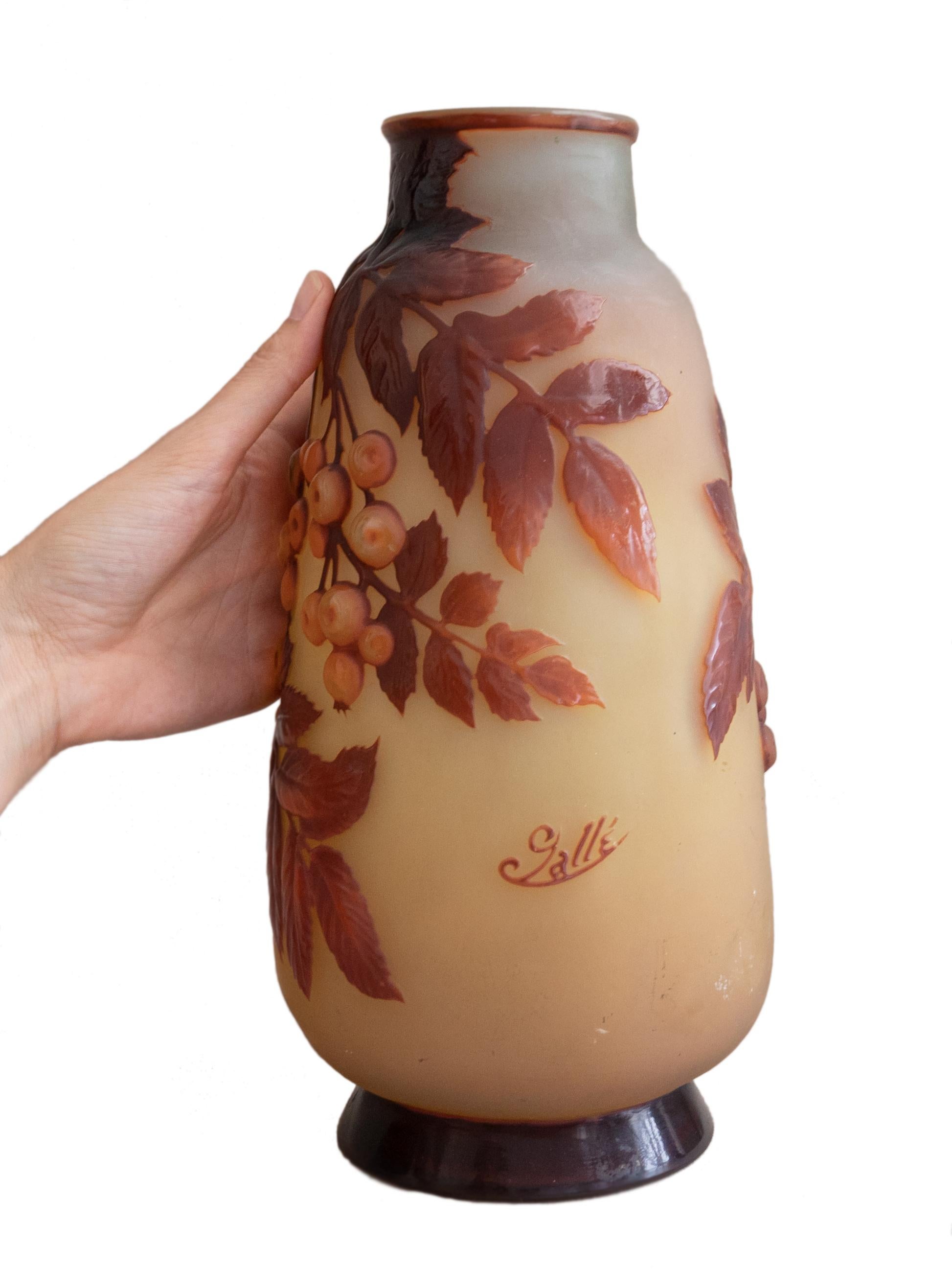 Emile Gallé Cherries Souffle Cameo Glass Vase, 1915  For Sale 5