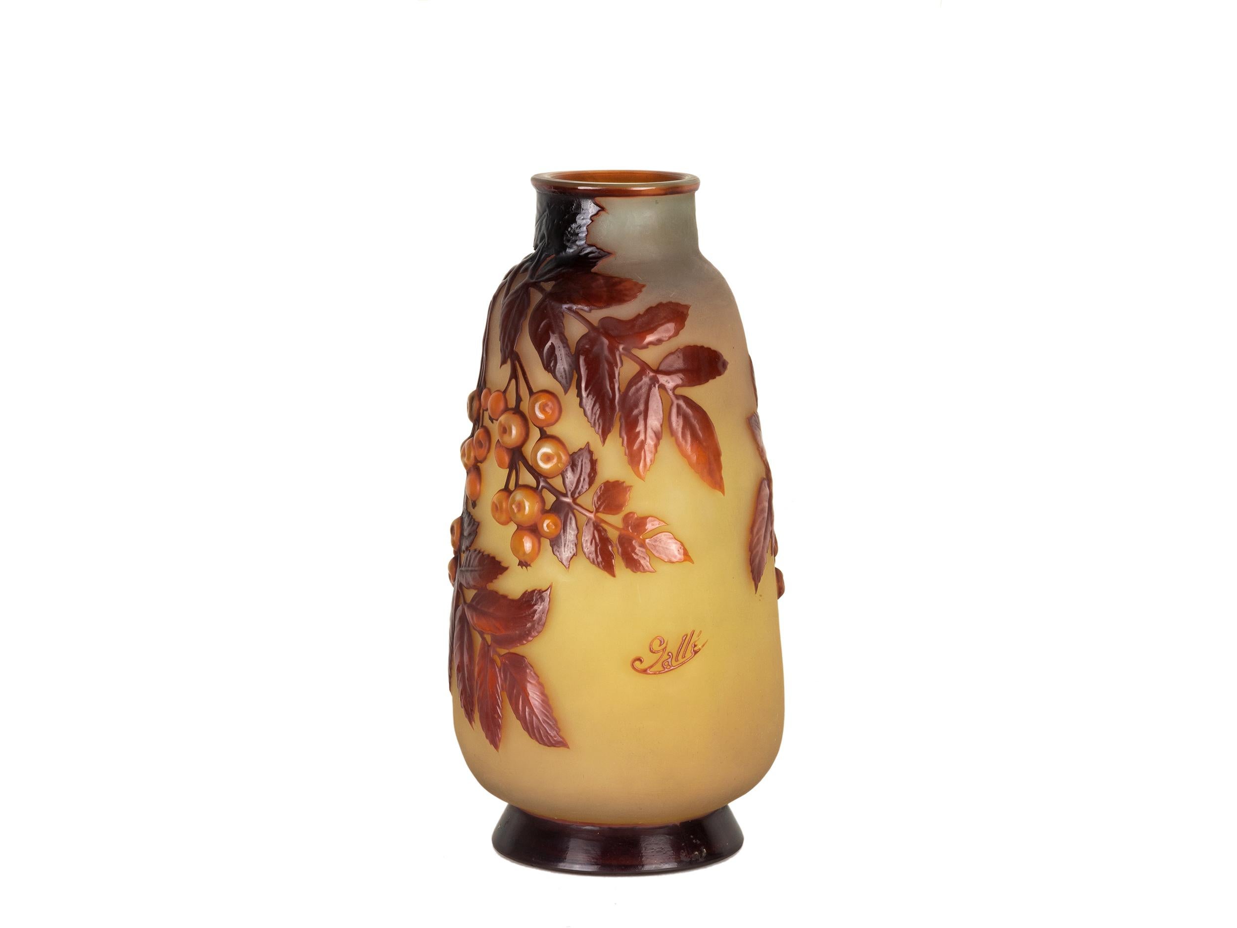 A rare Etablissement Galle 'Cherries' mold-blown souffle cameo glass vase.
The baluster body with acid-etched and mold-blown decoration, in shades of red on an etched yellow and opaque ground, above a spreading circular foot, acid-etched 'Galle'.