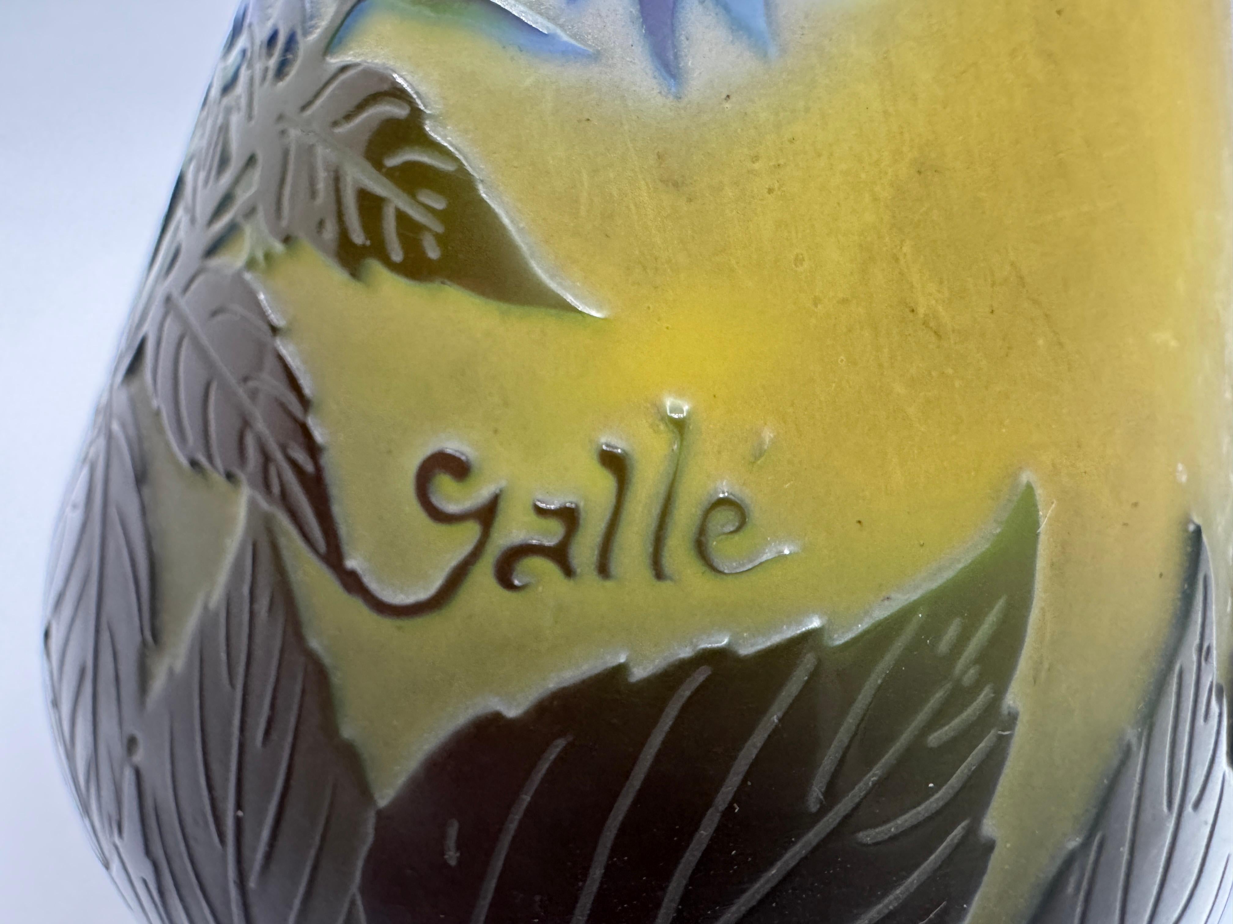 Vaso 