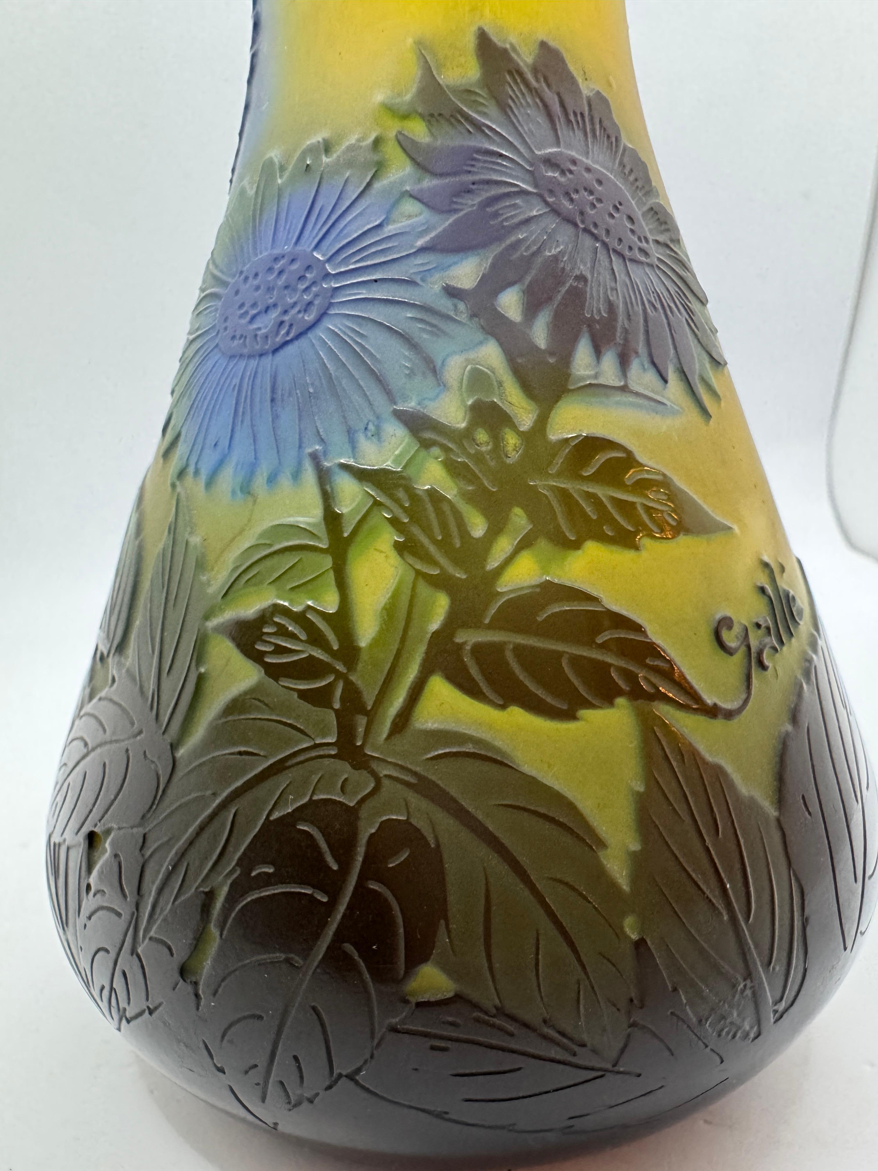 Vaso 