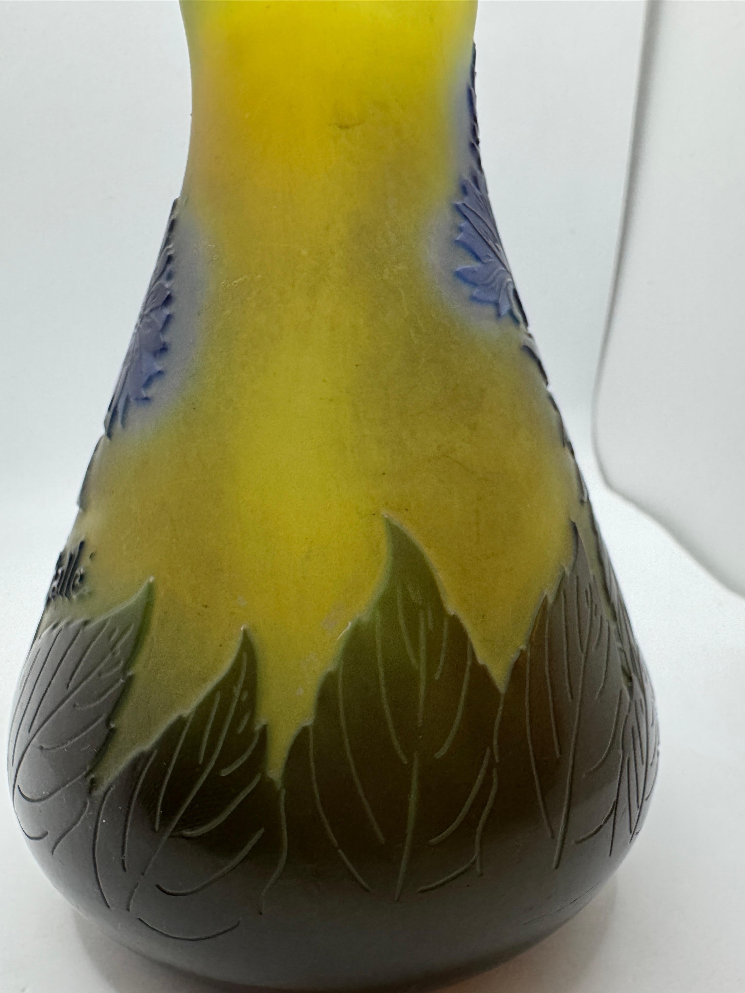 Vaso 