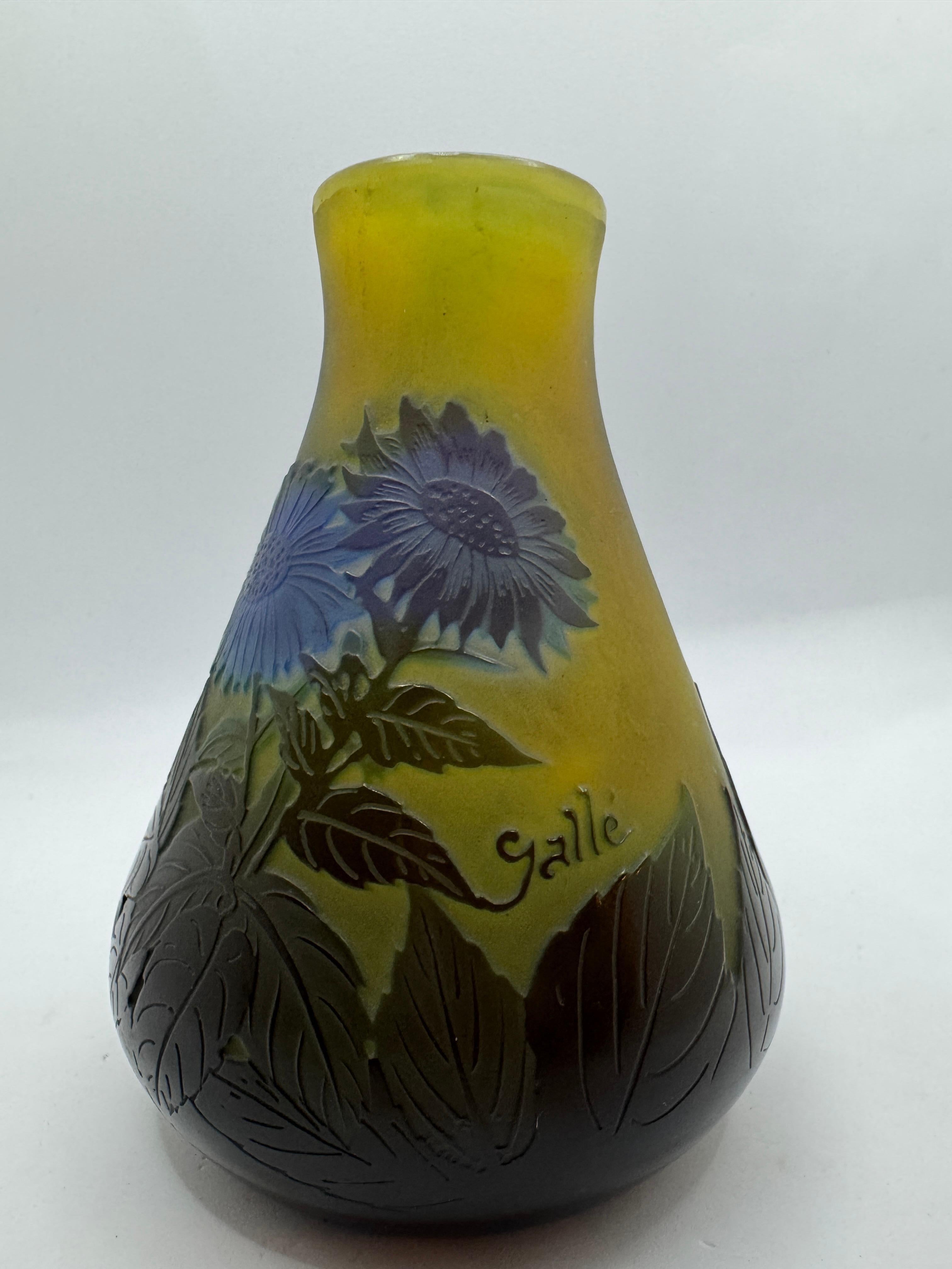 Vaso 