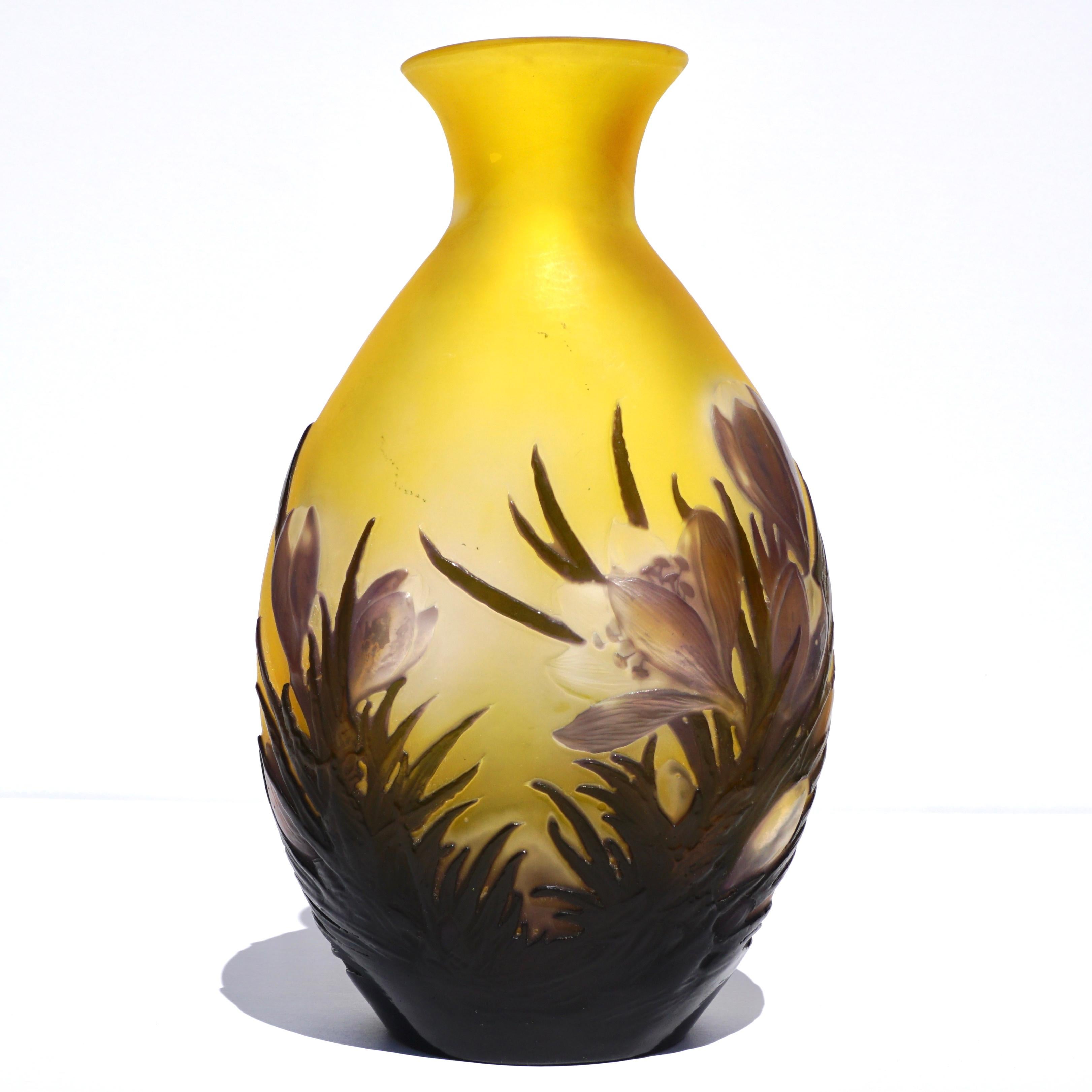 crocus vase