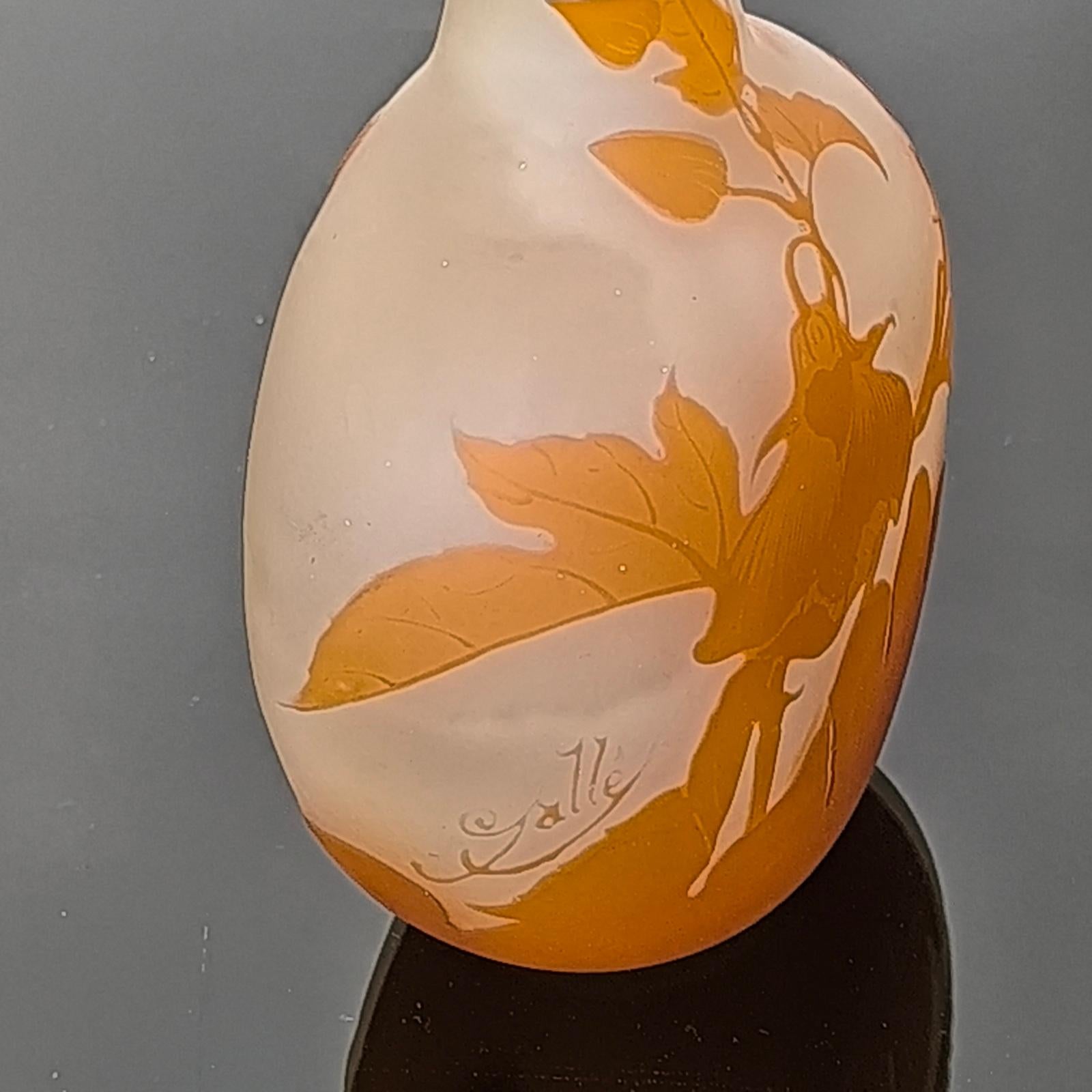 Rare vase en verre Camée Art Nouveau Émile Gallé Nancy, Décor de Convolvulus 3
