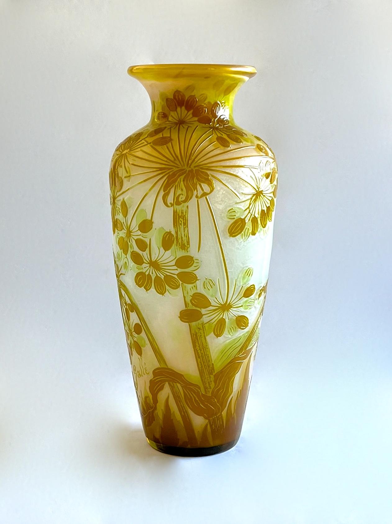 A fine, rare and large cameo glass vase of baluster form. The white and rose coloured ground overlaid with green and a honey colour then acid etched and wheel carved with a design of Umbel flowers. The ground surface is textured and entire vase is