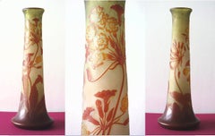 Art Nouveau French Cameo Glass 'Umbels Vase' by Emile Gallé, Nancy - 63cm High