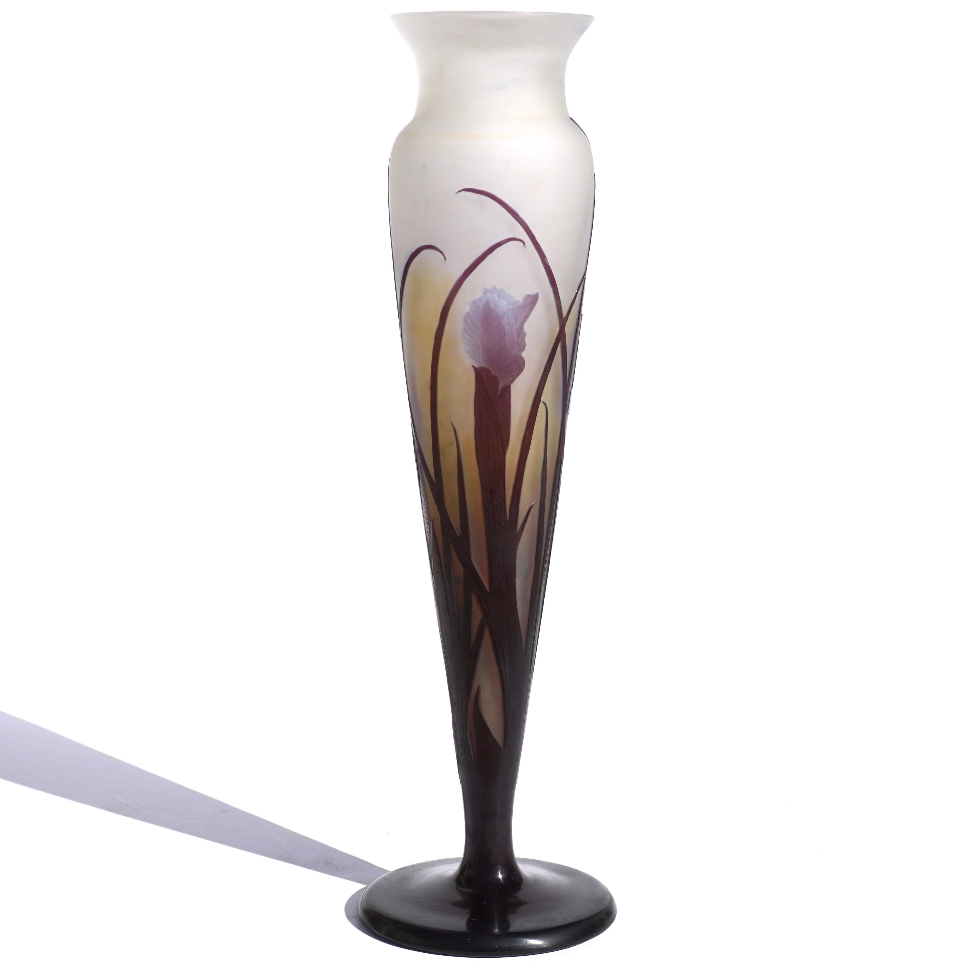 Emile Gallé 
Iris a double overlay cameo glass vase, circa 1900
overlaid and acid-etched with irises and their slender leaves, signed in cameo Gallé. The Iris pedals also create a window pane effect with light. This is definitely a collector’s