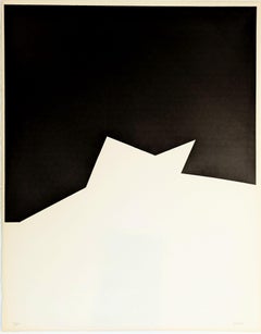 Composition Aile noire