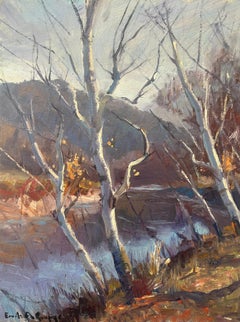 Vermont-Birken