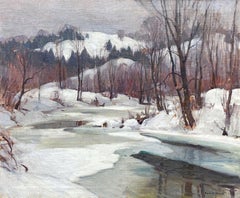 Bosque de invierno con arroyo