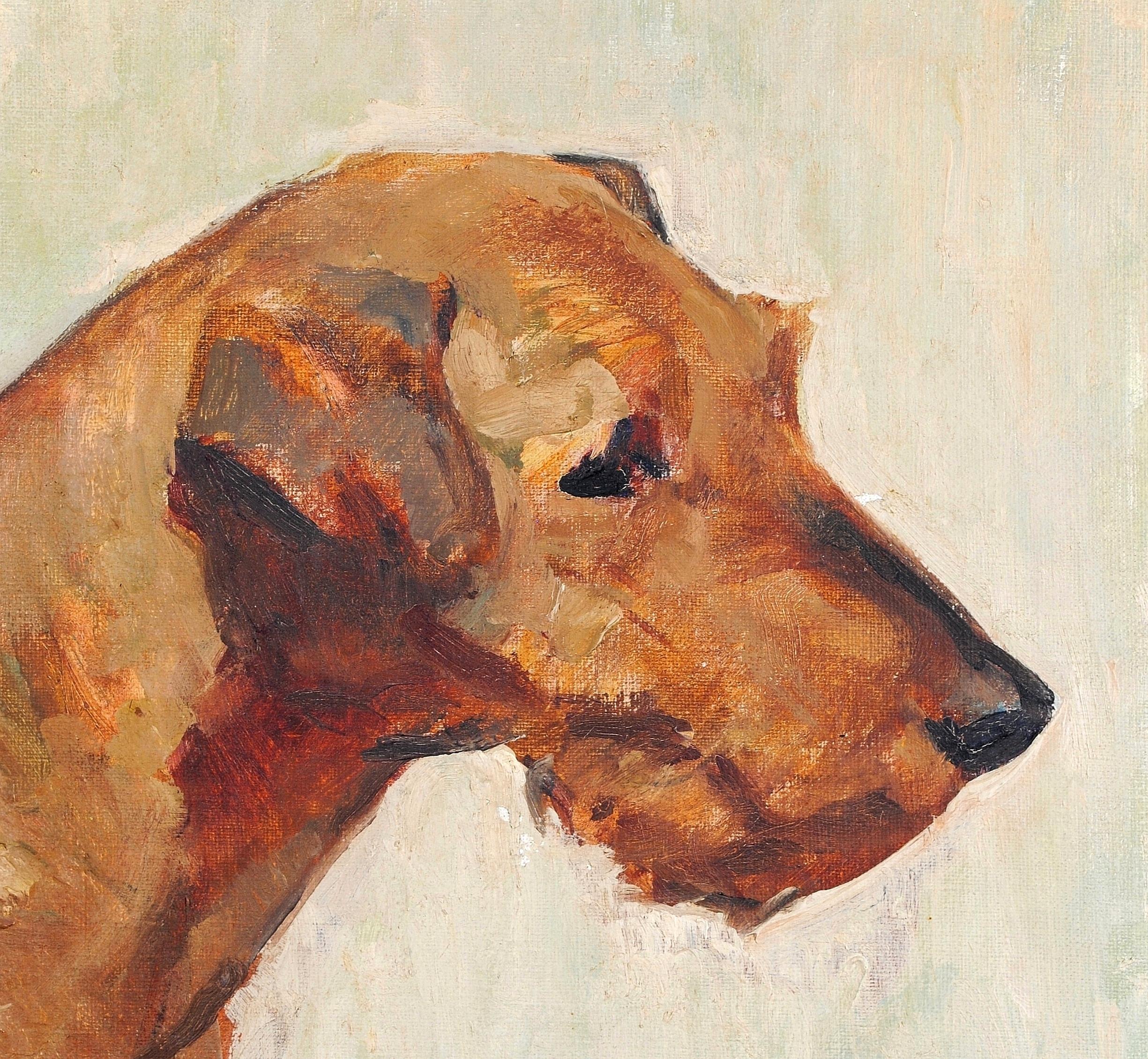 Celtic Phelan - Ritratto di Terrier Antico Cane Belga Olio su Tela 1