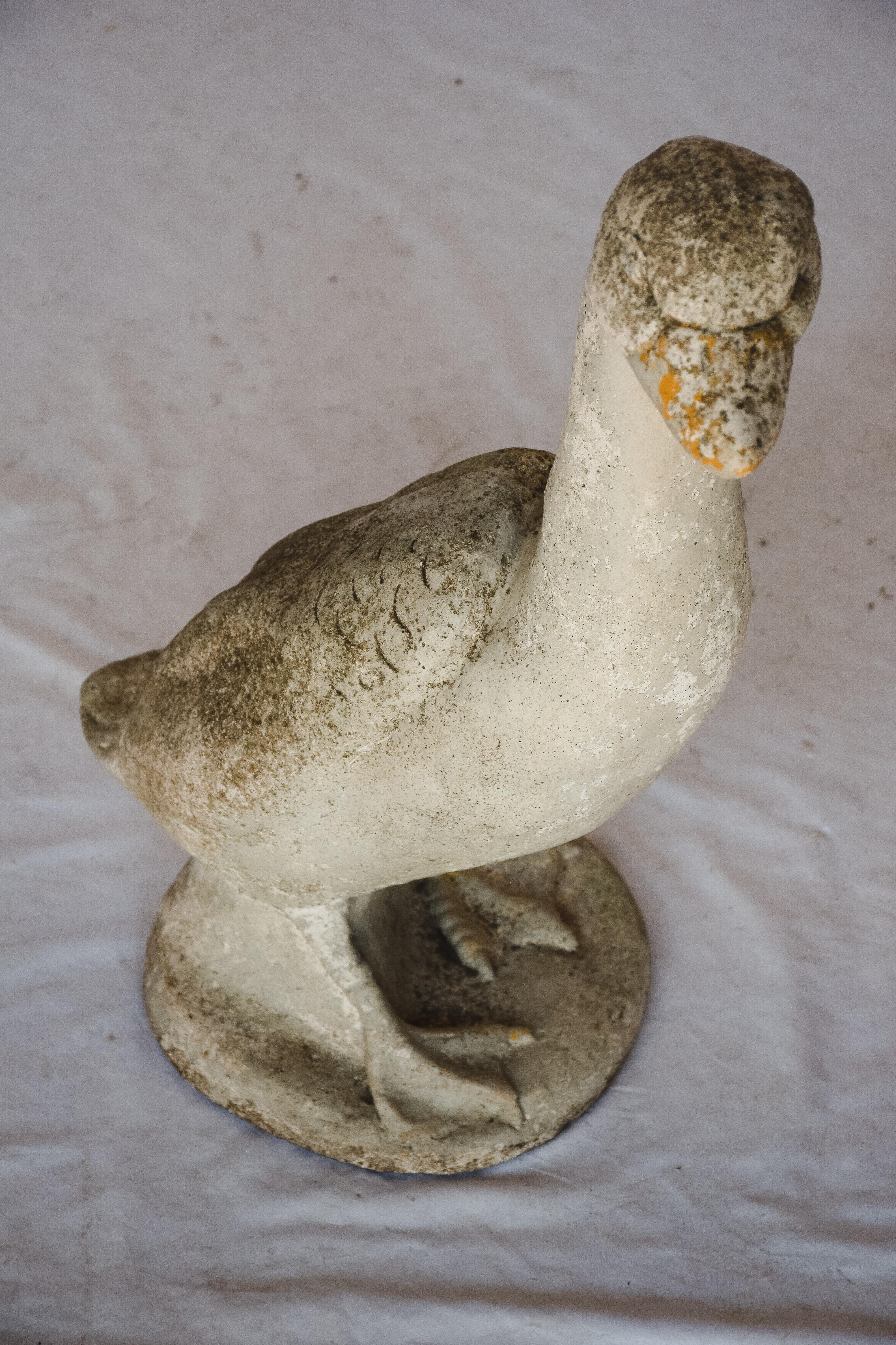 Este Pato de Jardín de Hormigón sería una bonita presentación colocado en tu jardín o dentro de casa.