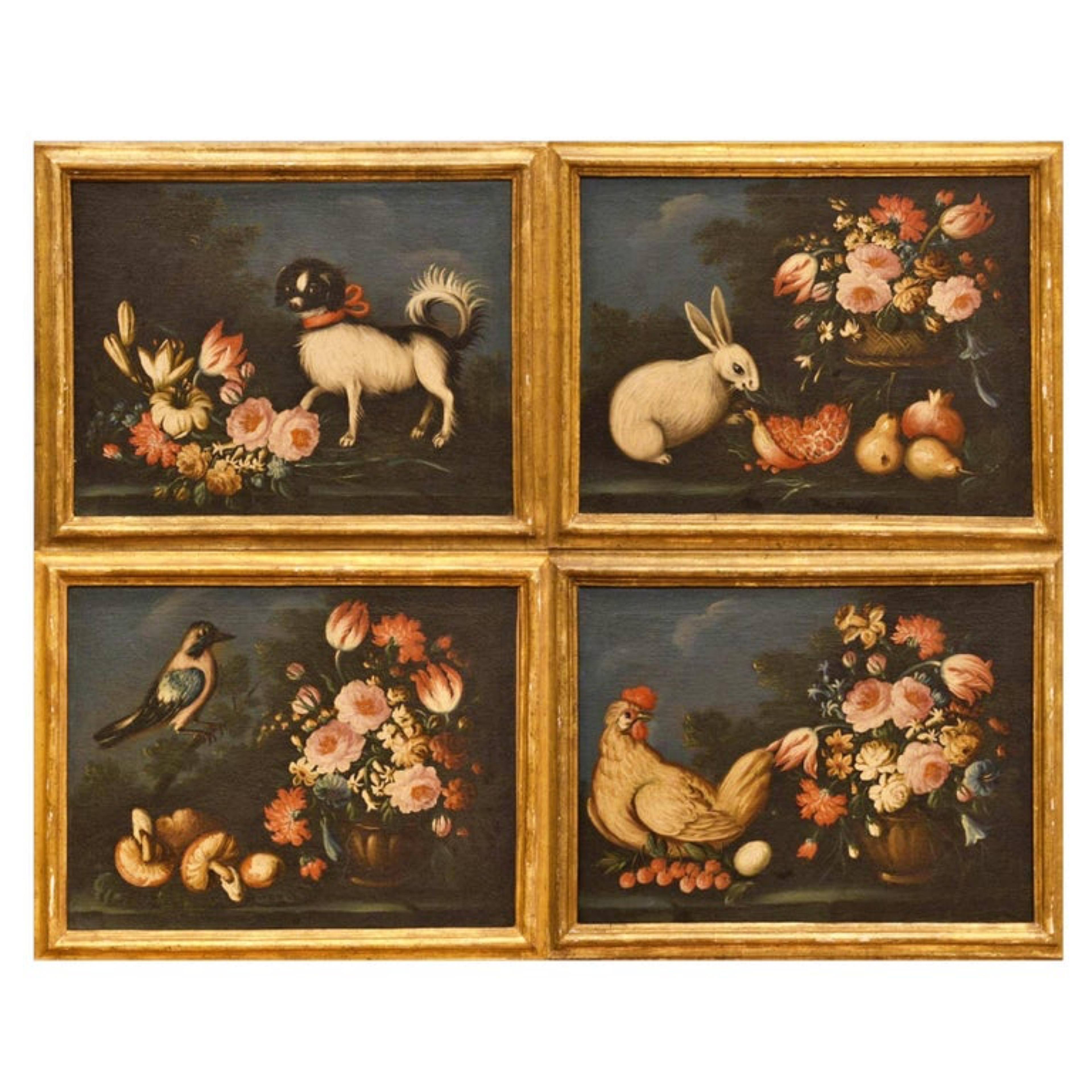 École Emilian - Italie 17ème siècle « Quatre natures mortes avec animaux et fleurs » en vente 3