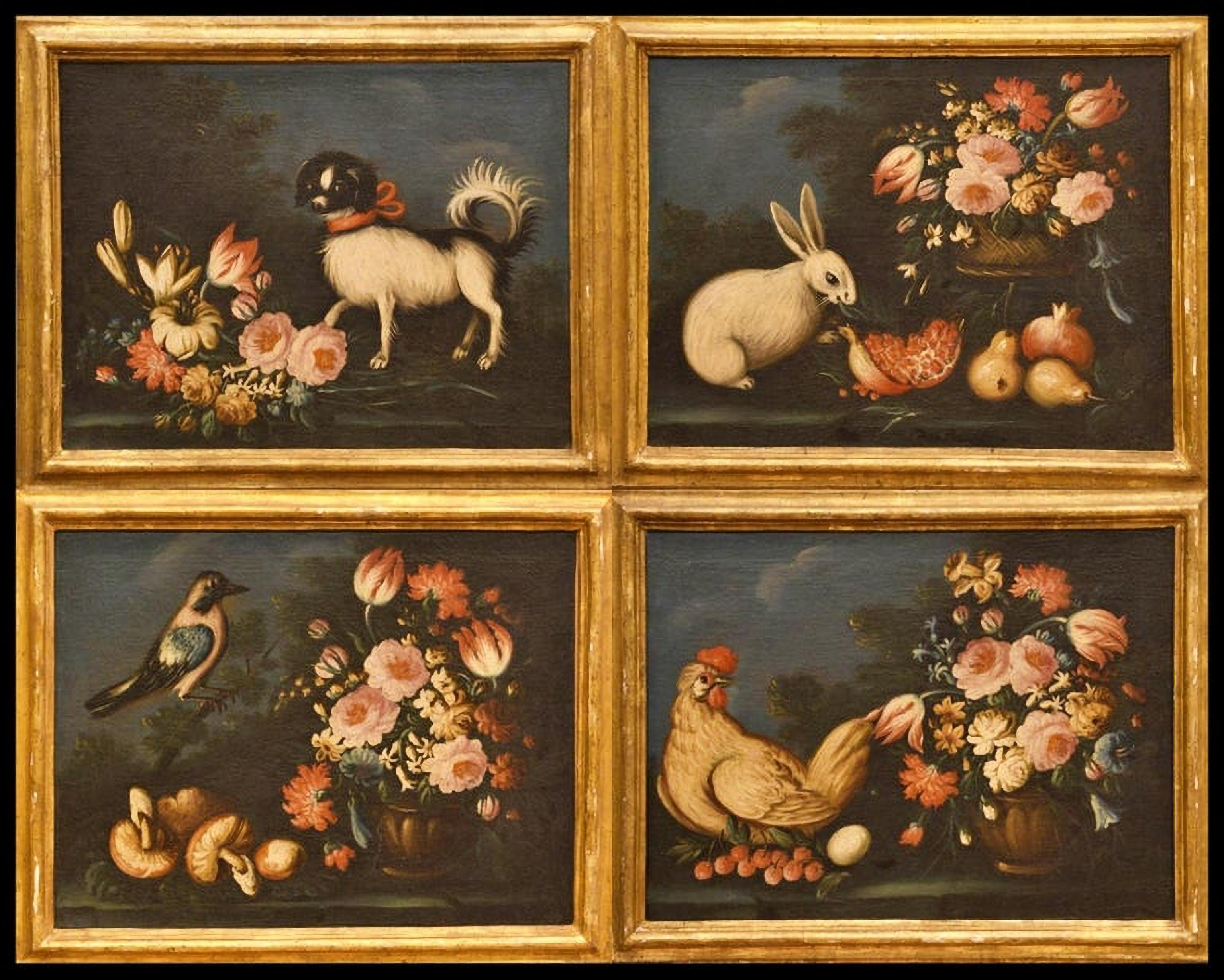École Emilian - Italie 17ème siècle « Quatre natures mortes avec animaux et fleurs » en vente 4