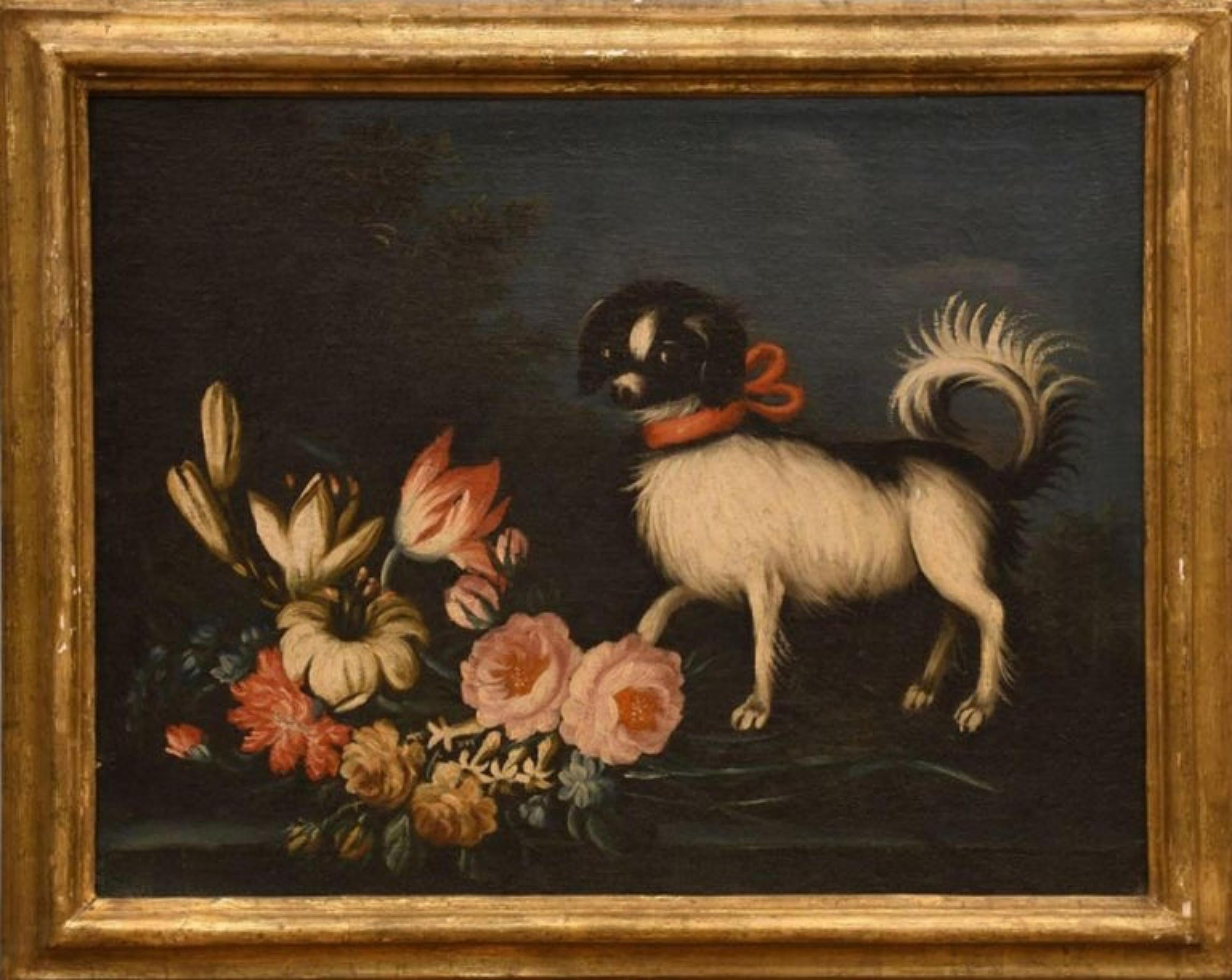 École Emilian - Italie 17ème siècle « Quatre natures mortes avec animaux et fleurs » Bon état - En vente à Madrid, ES