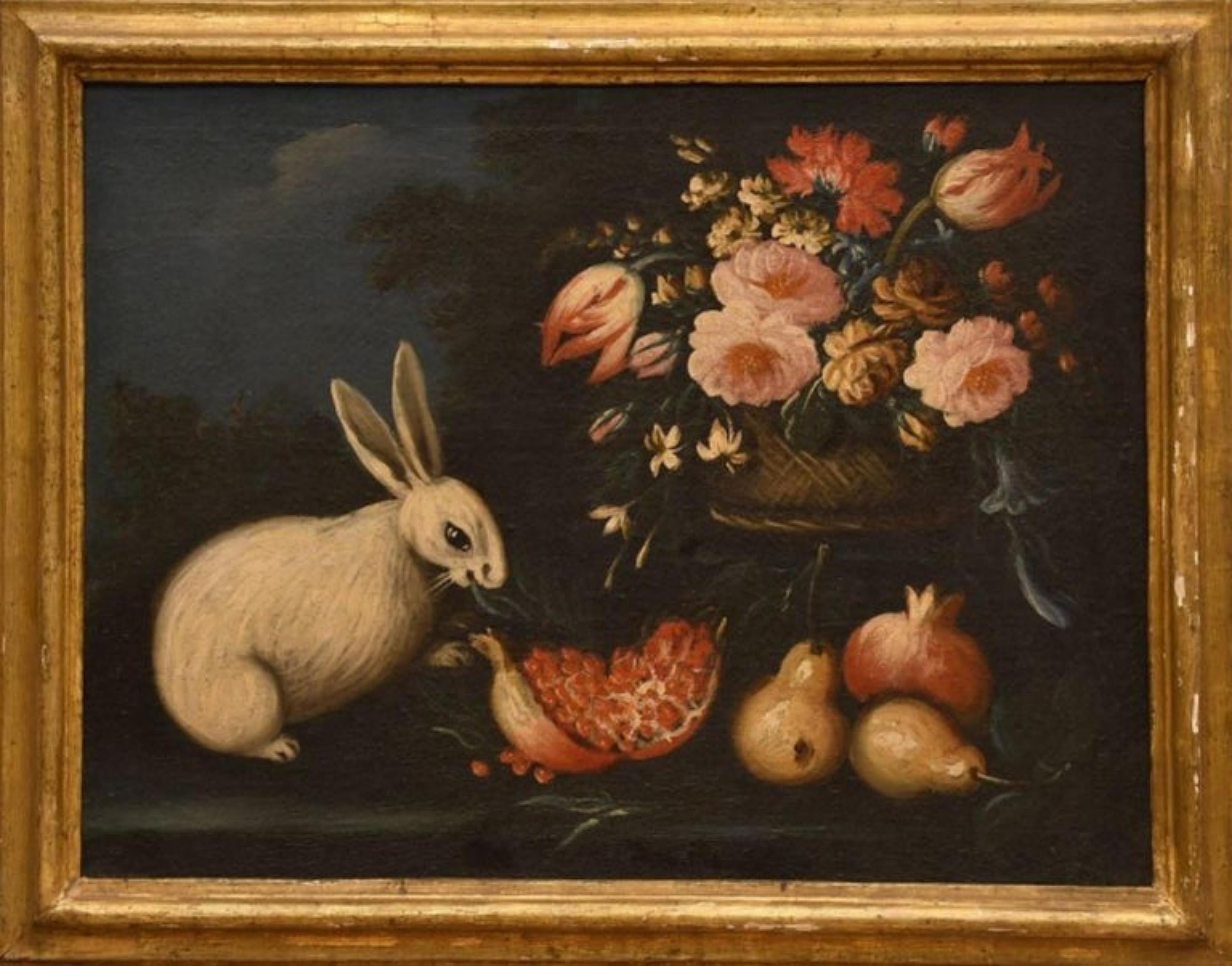 Peinture École Emilian - Italie 17ème siècle « Quatre natures mortes avec animaux et fleurs » en vente